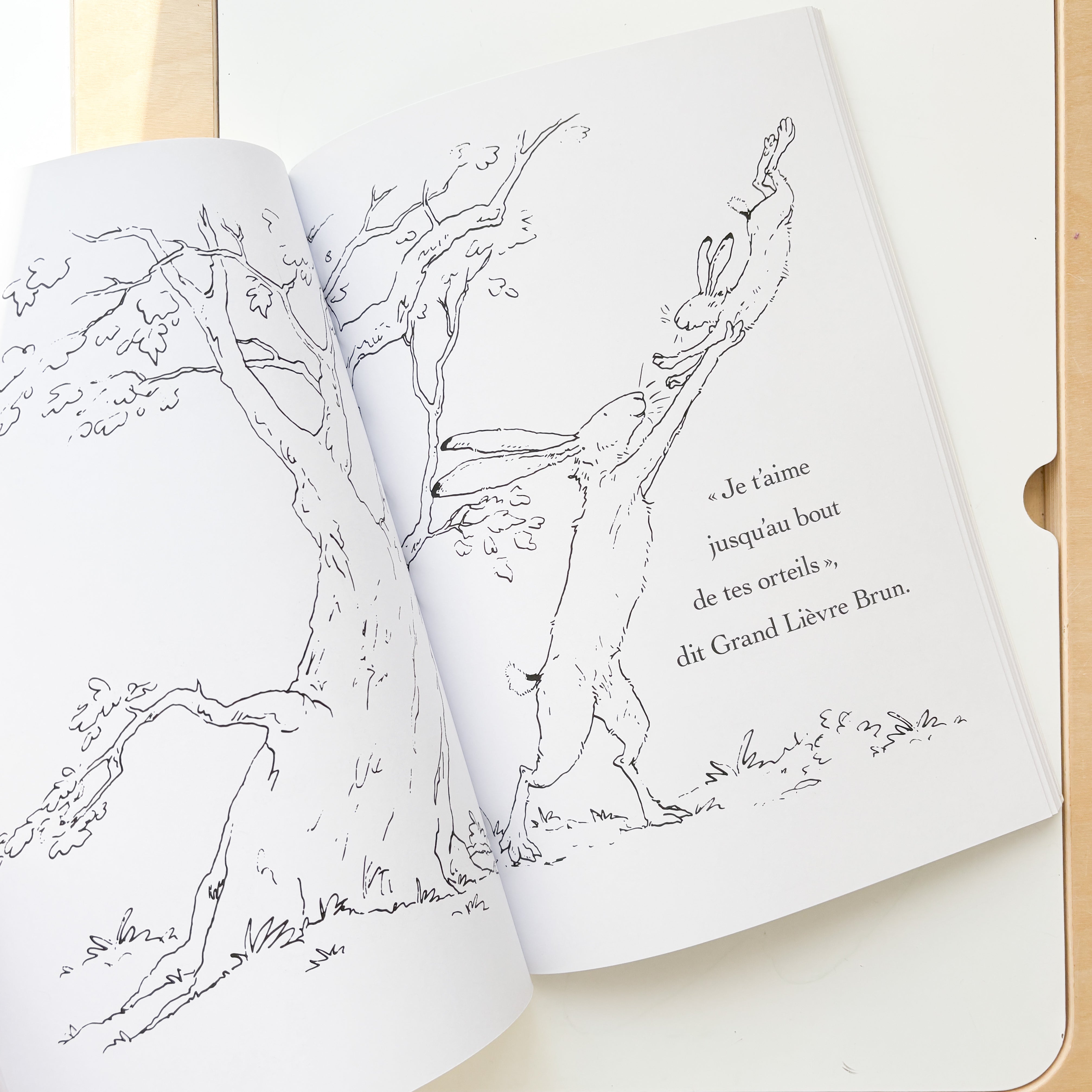 Livre à colorier - Devine combien je t'aime