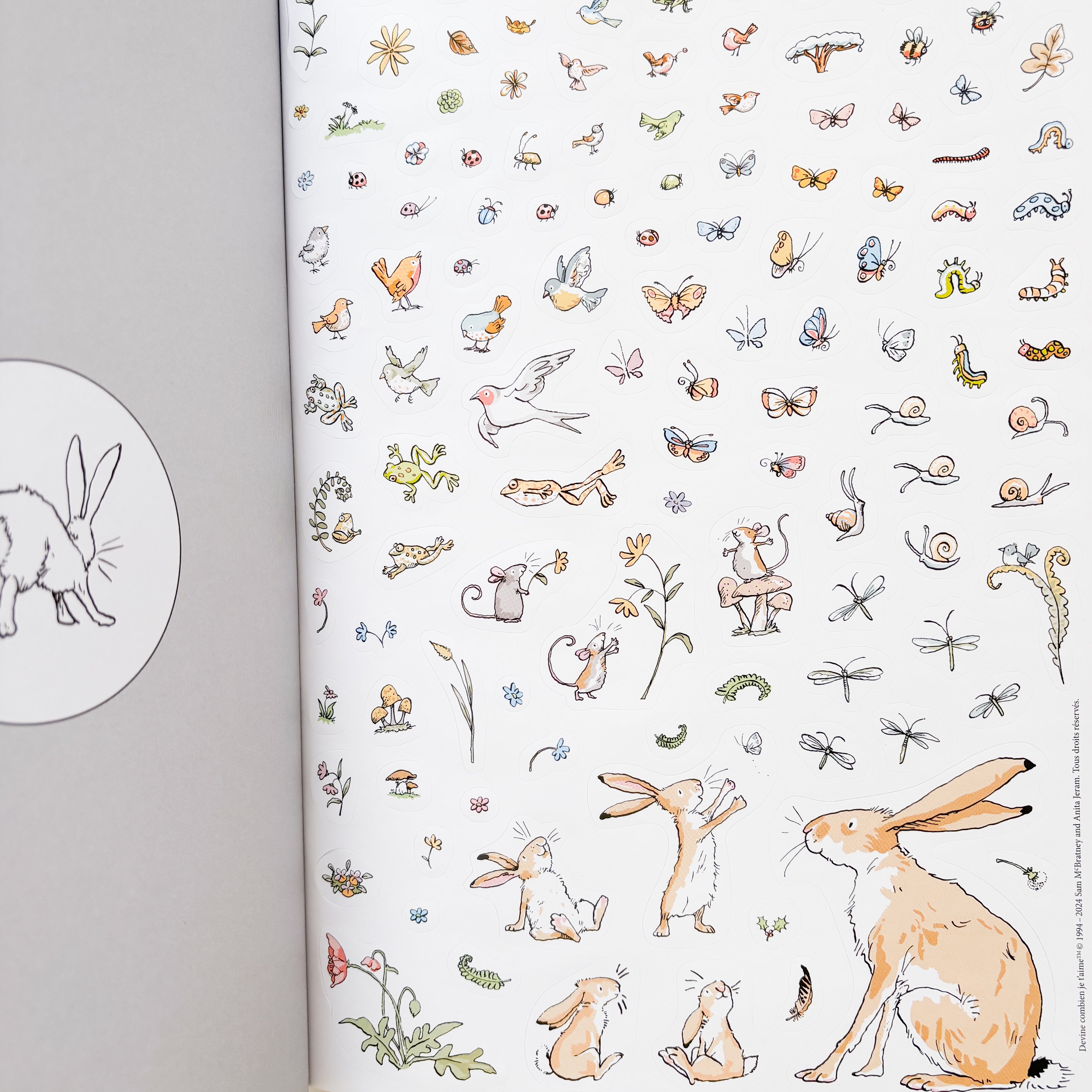 Livre à colorier - Devine combien je t'aime