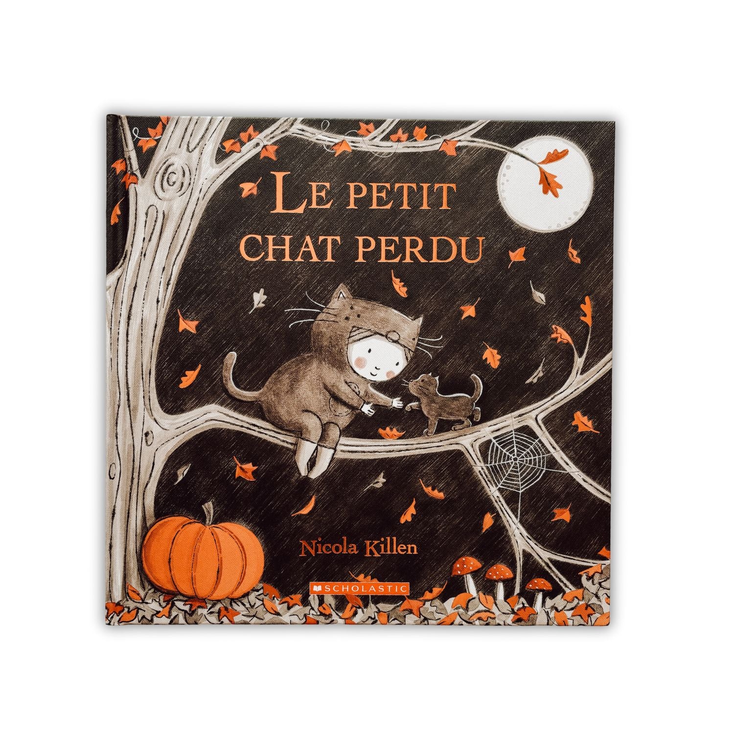 Livre d'histoire - Le petit chat perdu