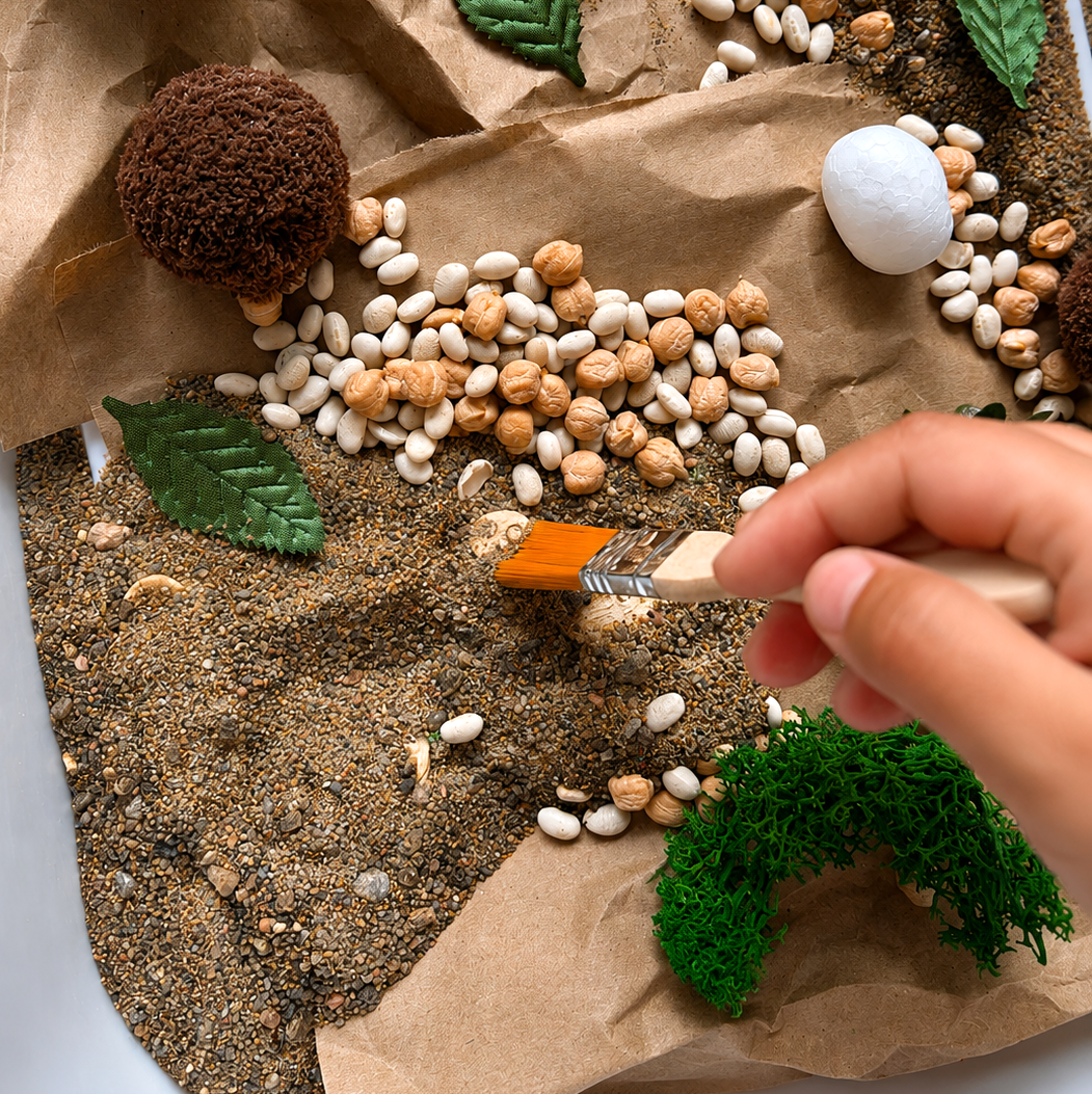 Sensory Set - Dinosaurs
