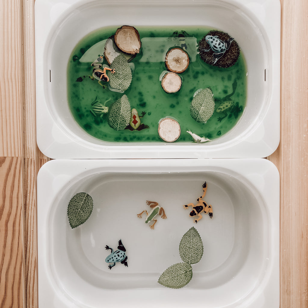 Sensory Set - Frogs – Bajoue