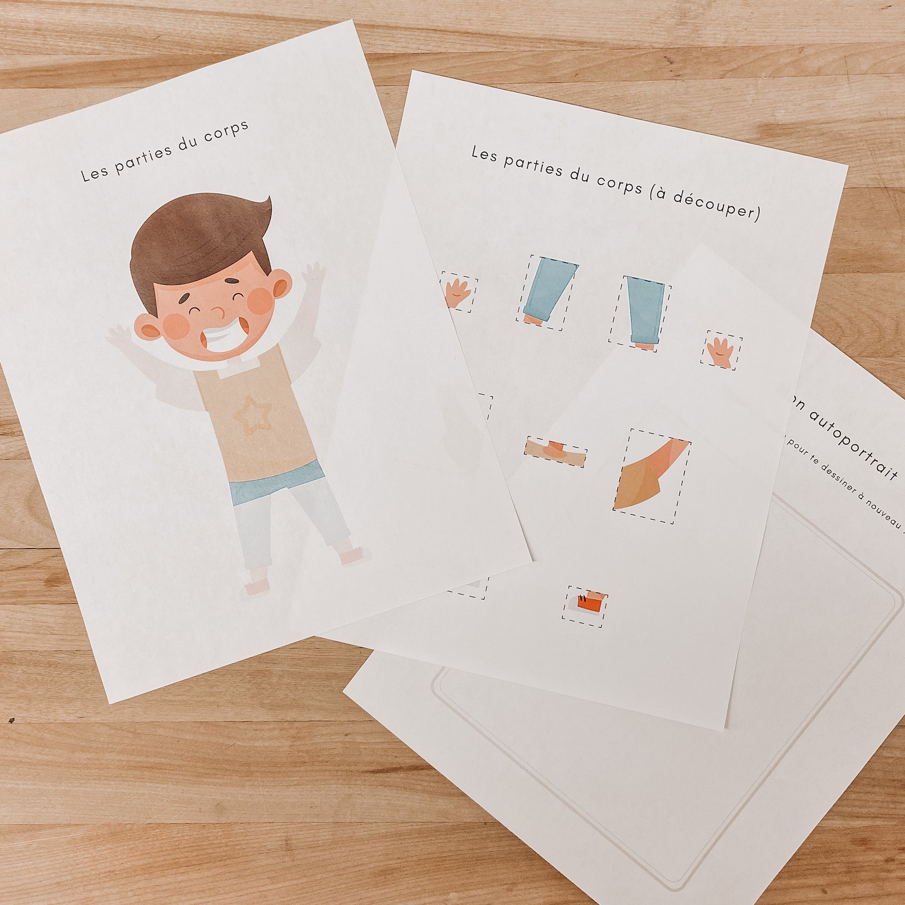 Activité à télécharger - Le corps humain