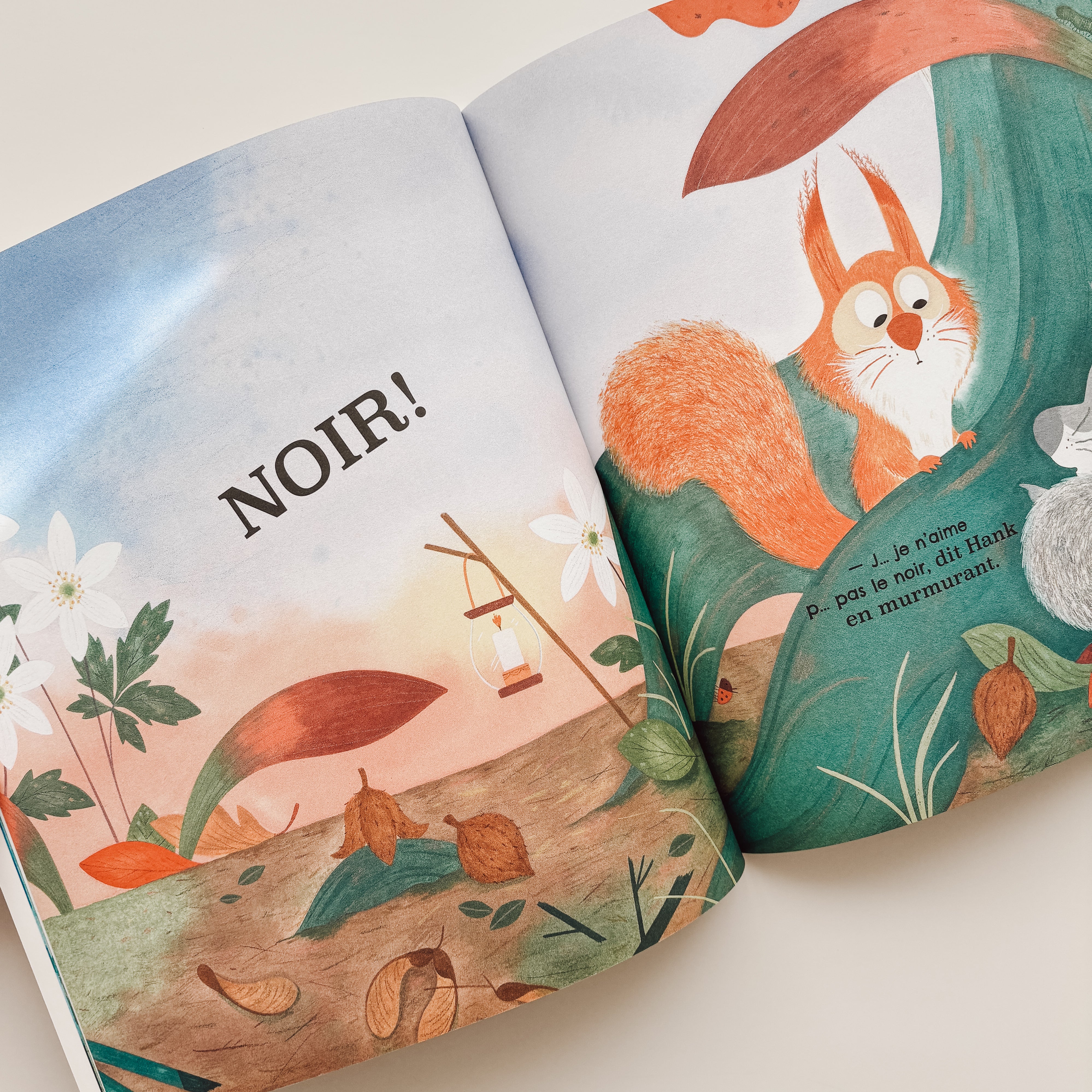 Livre d'histoire - J'ai vraiment peur du noir