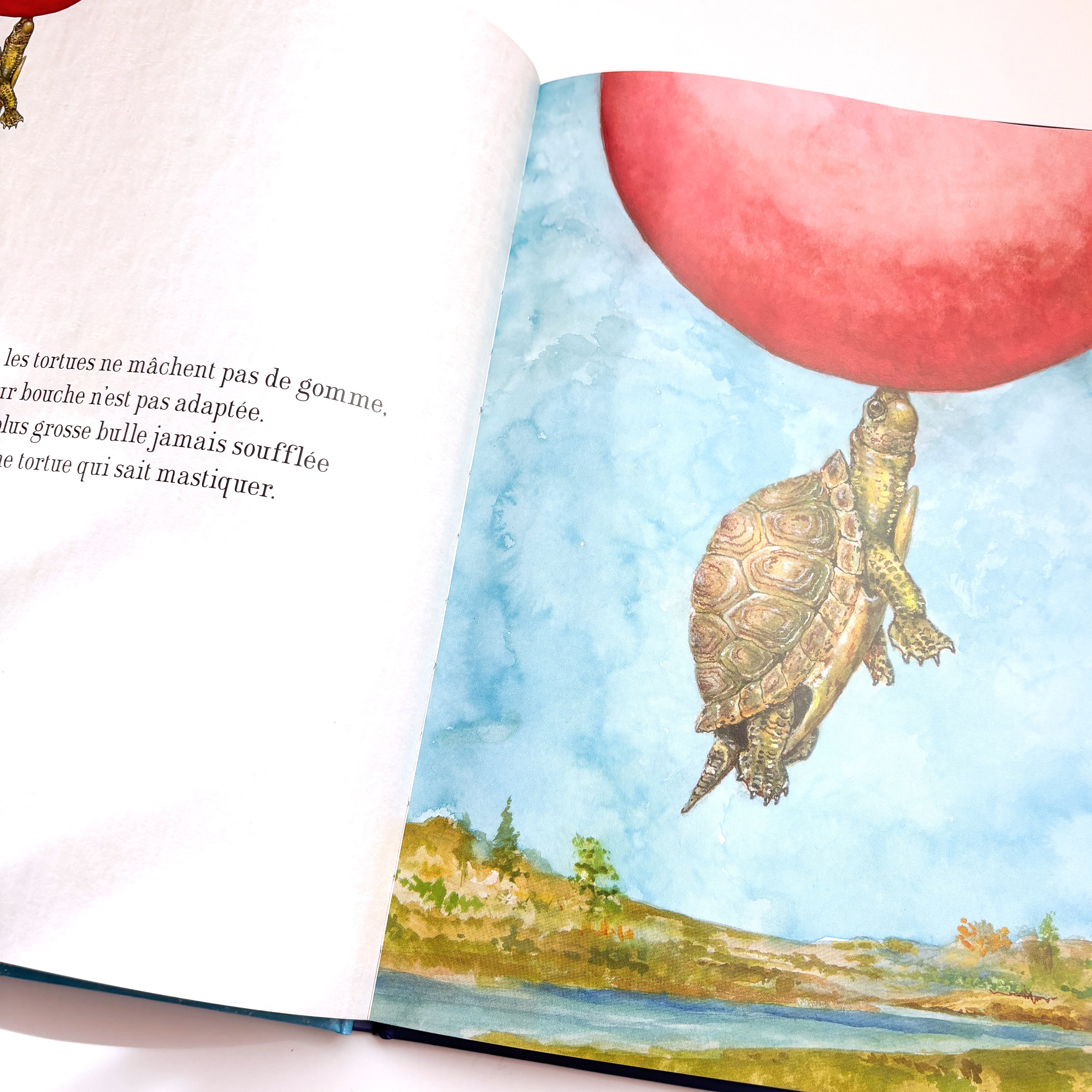 Livre d'histoire - J'ai vu un cochon voler