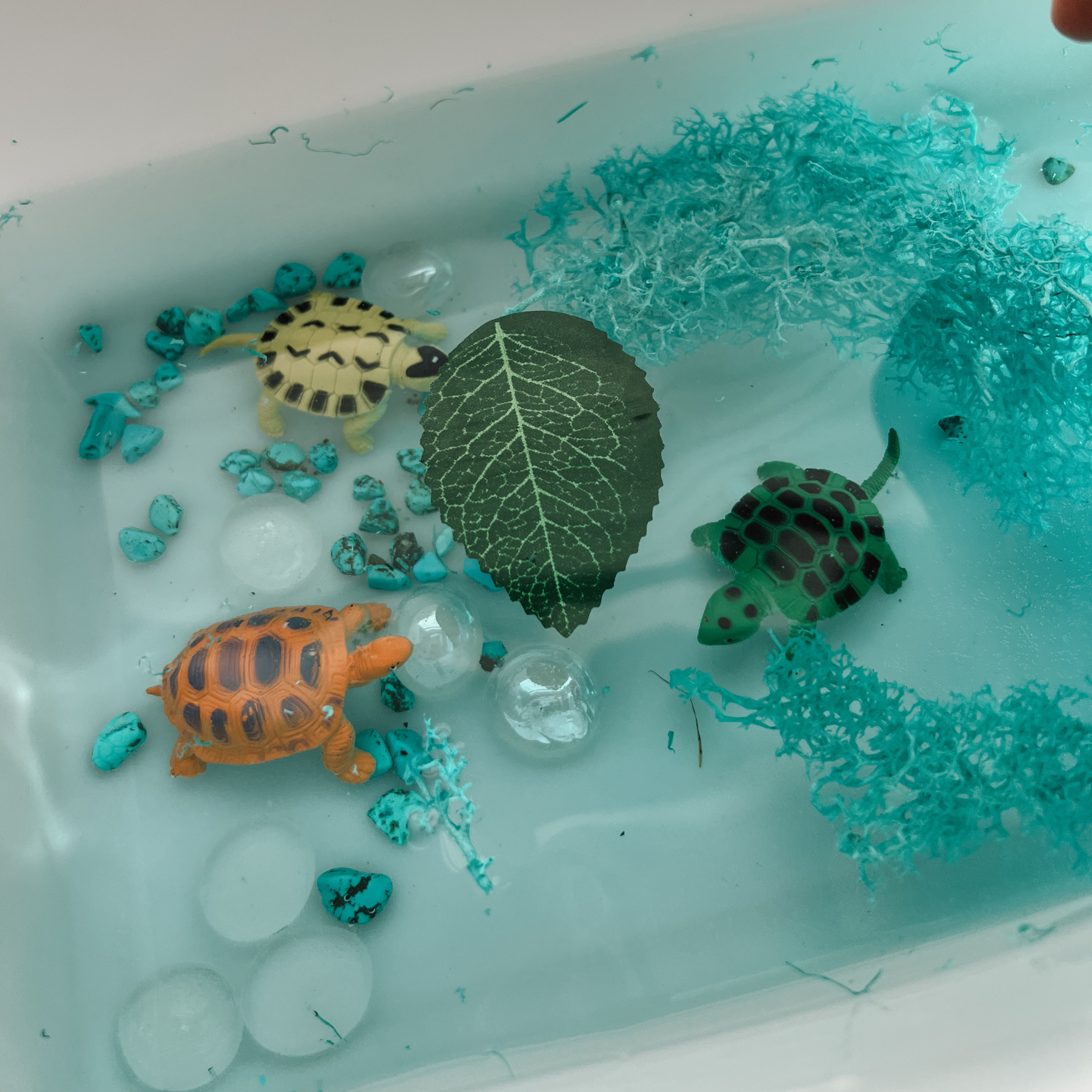 Sensory Set - Turtles