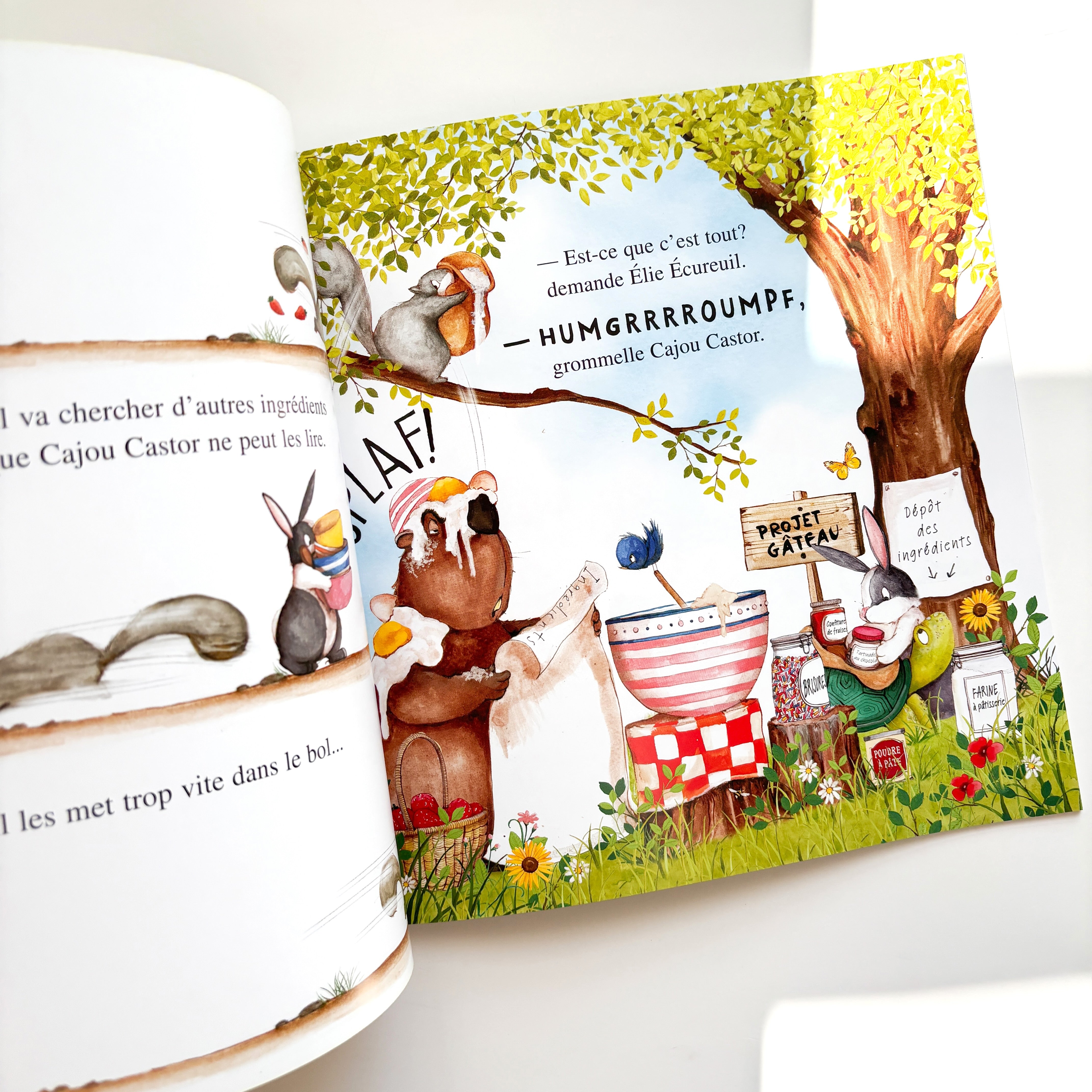 Livre d'histoire - La recette parfaite !