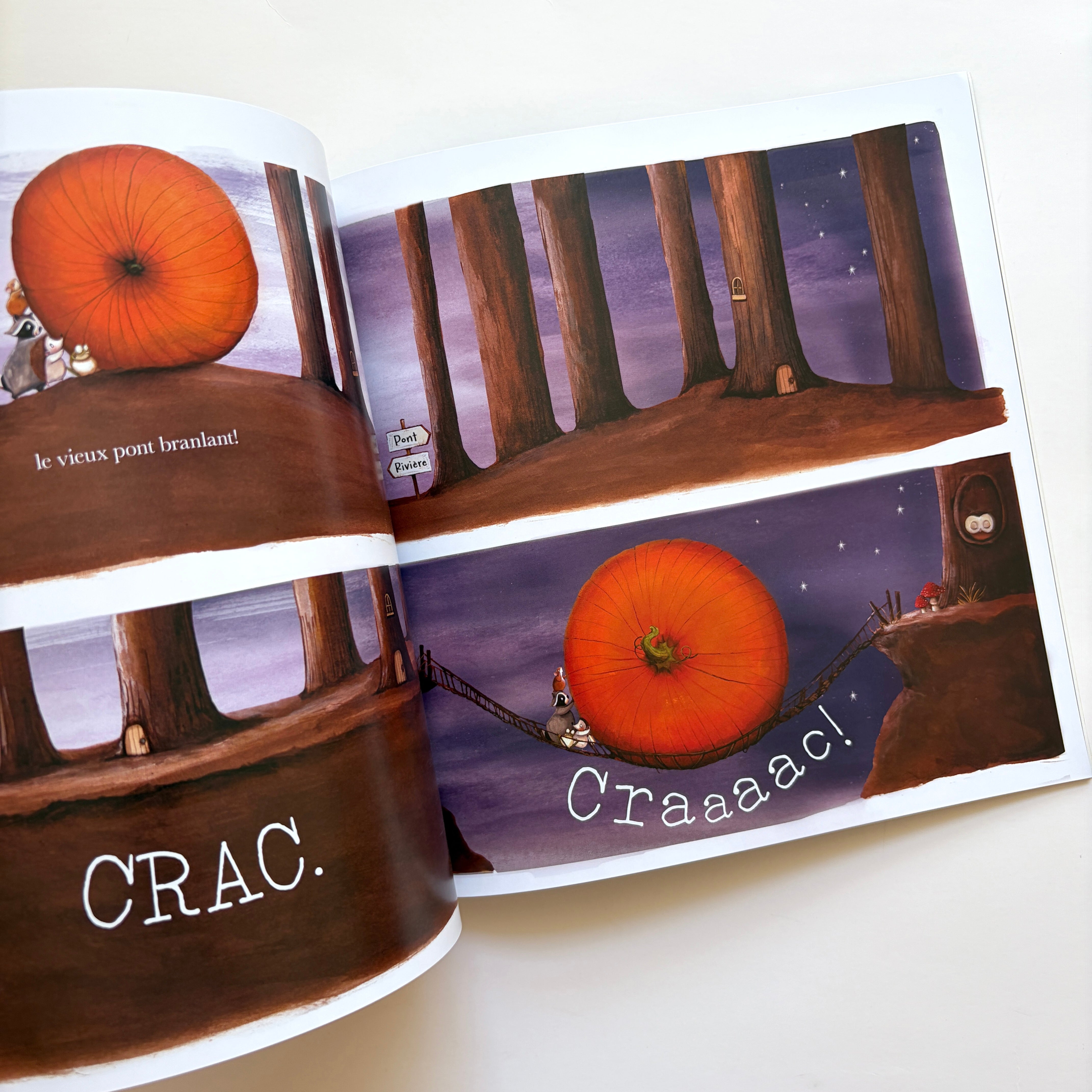Livre d'histoire - Le grand projet citrouille