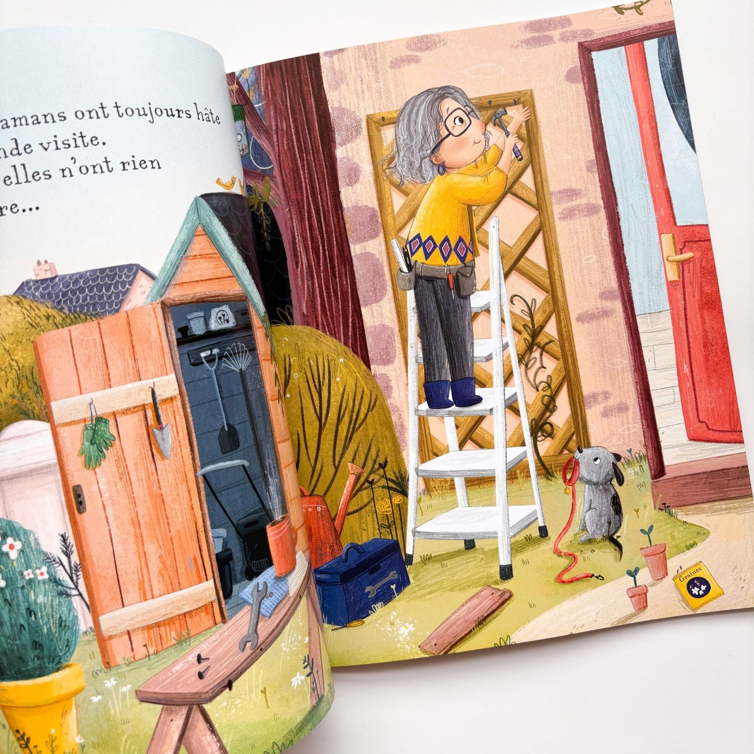 Livre d'histoire - Le guide des grands-mamans