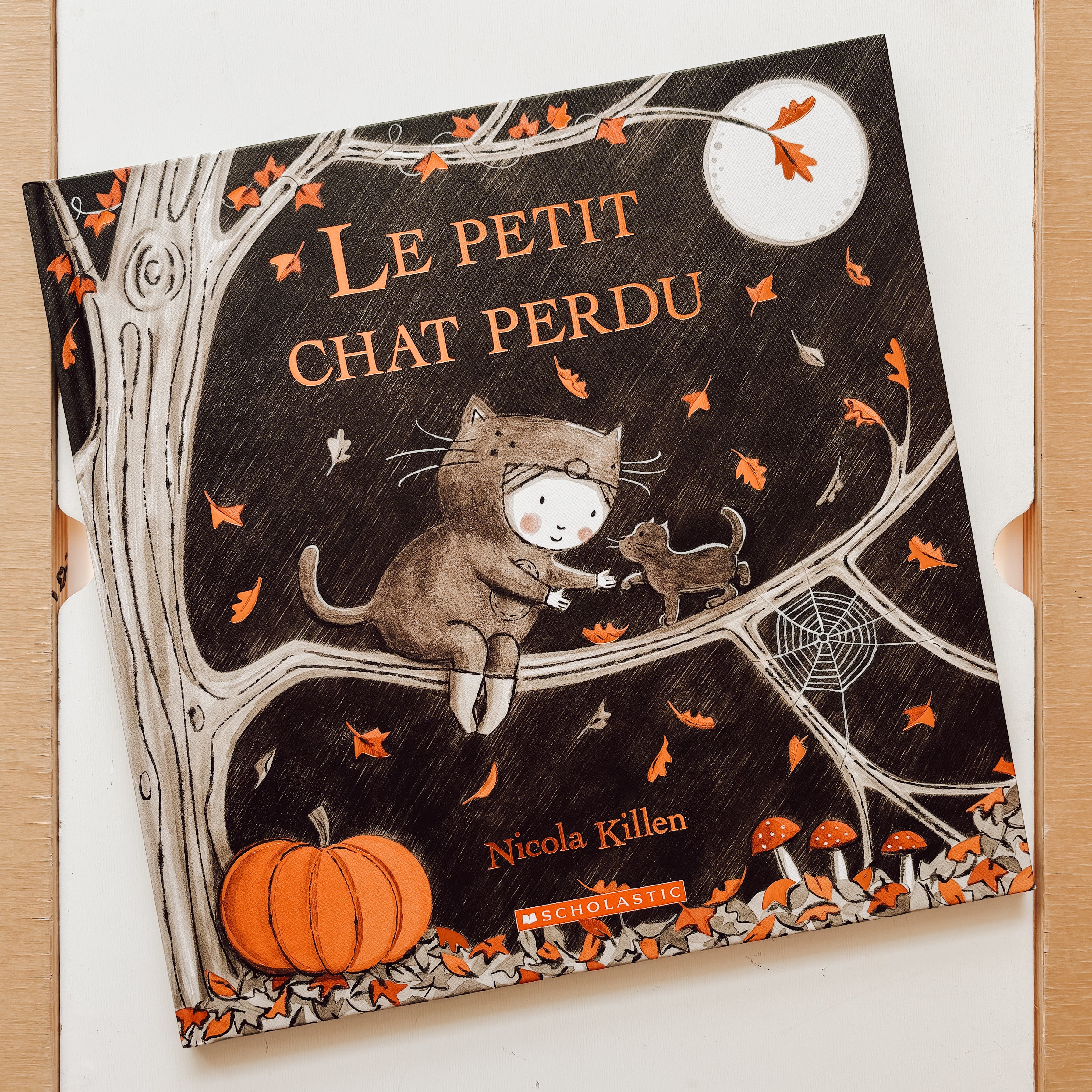 Livre d'histoire - Le petit chat perdu