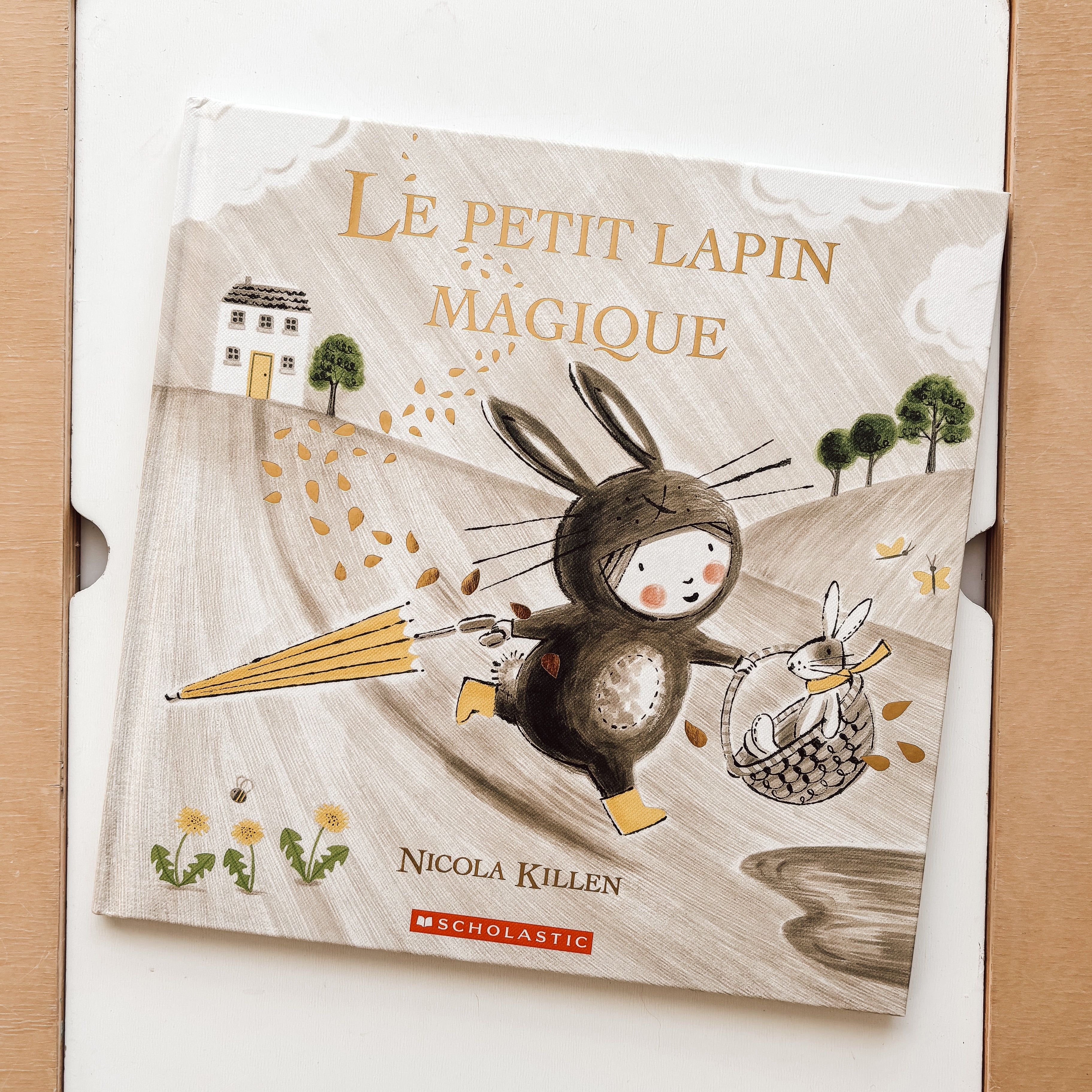 Livre d'histoire - Le petit lapin magique