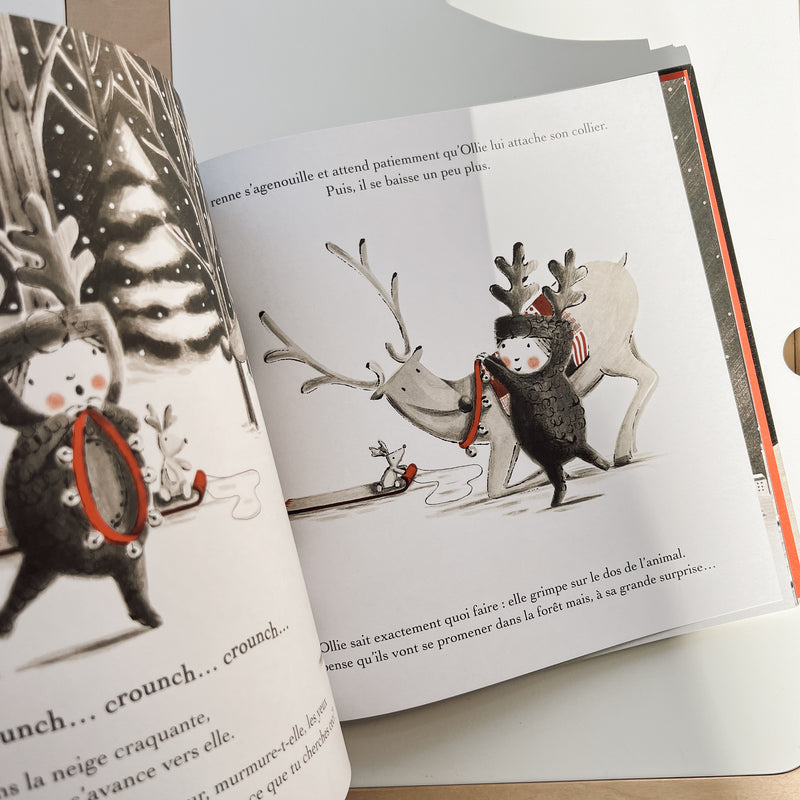 Livre d'histoire - Le petit renne de Noël