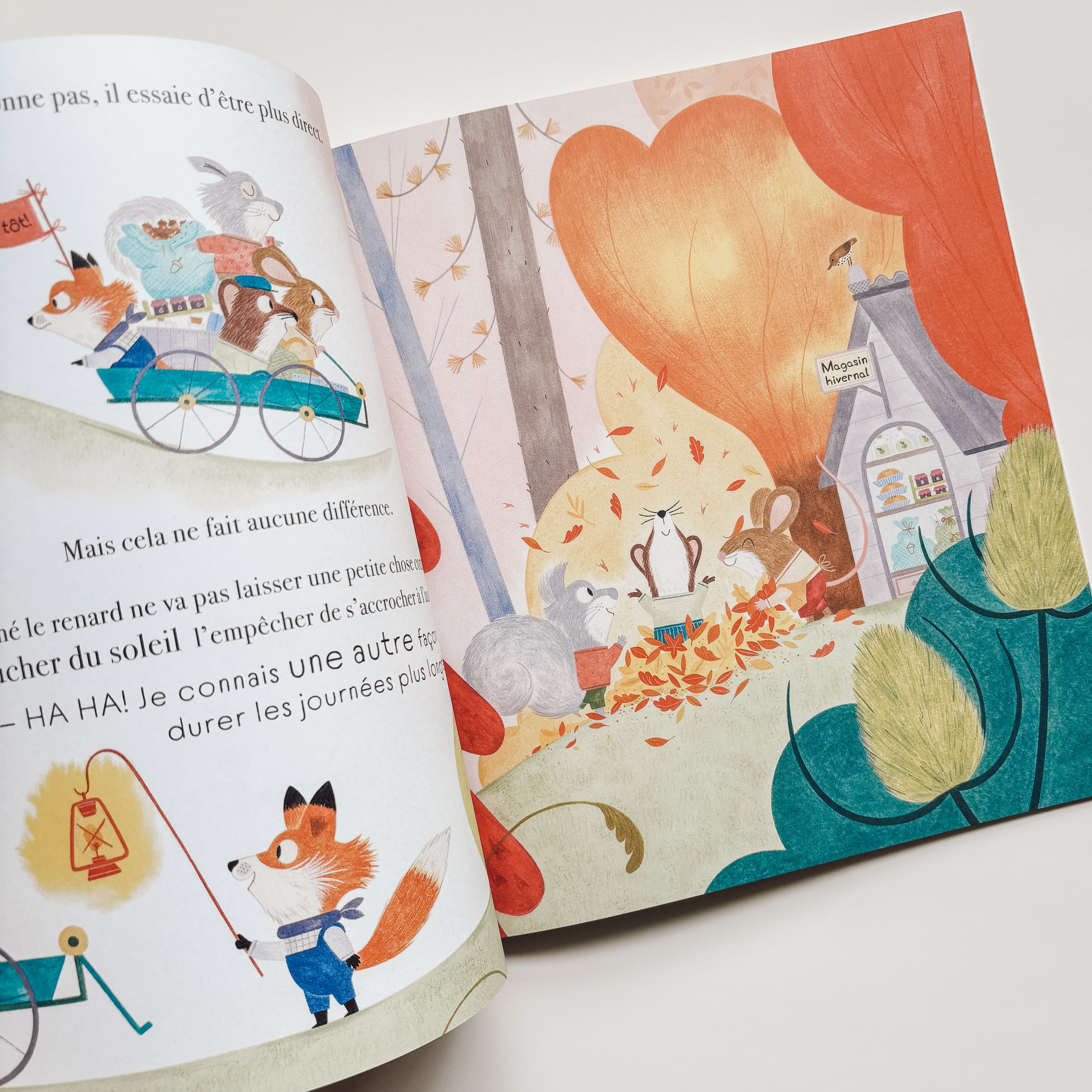 Livre d'histoire - Le renard qui adore l'automne