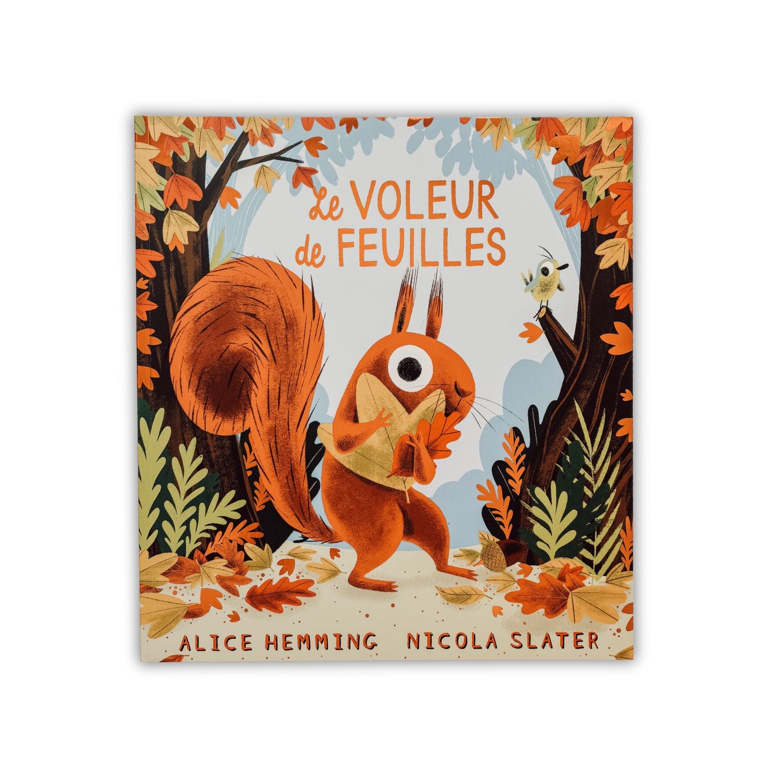 Livre d'histoire - Le voleur de feuilles