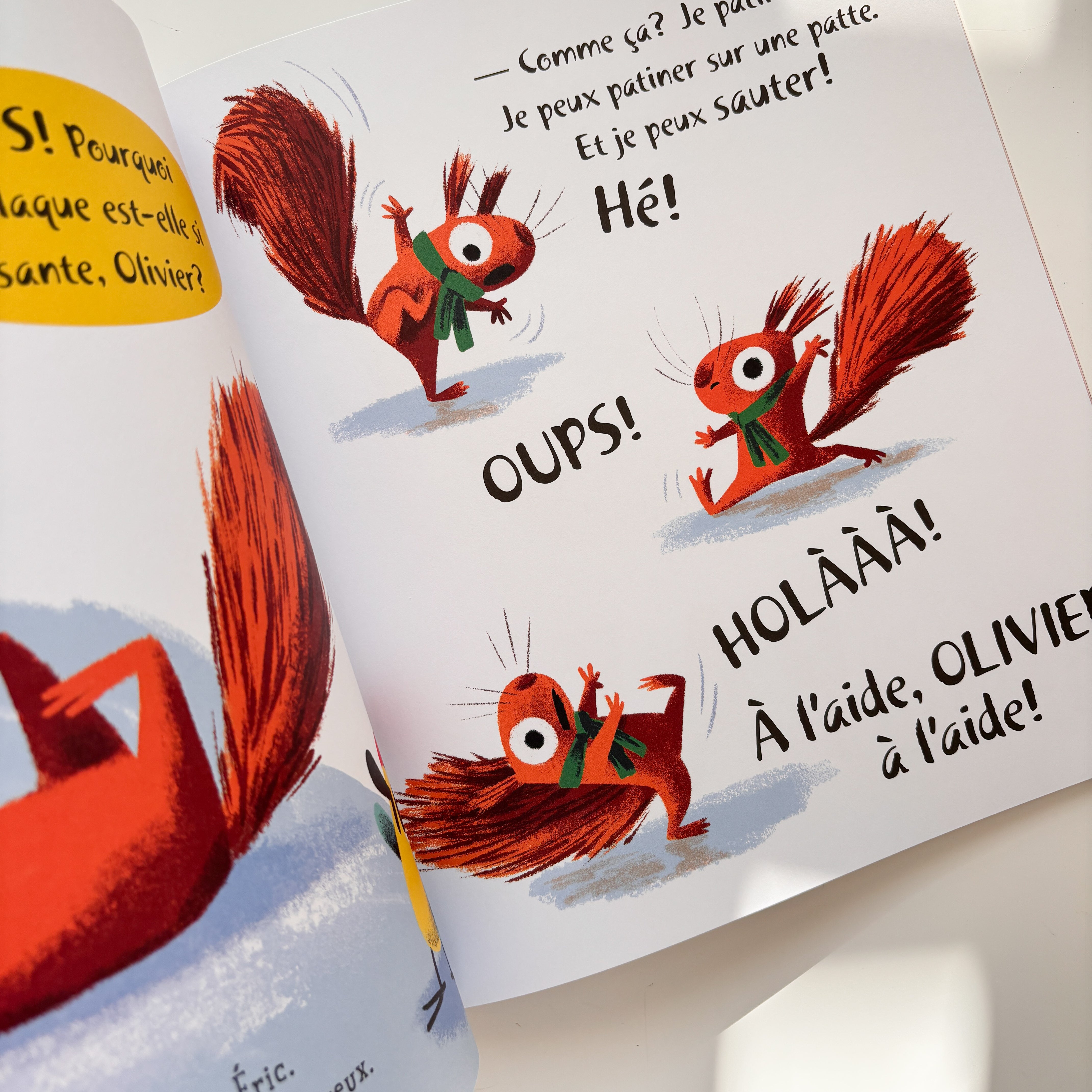 Livre d'histoire - Le voleur de neige