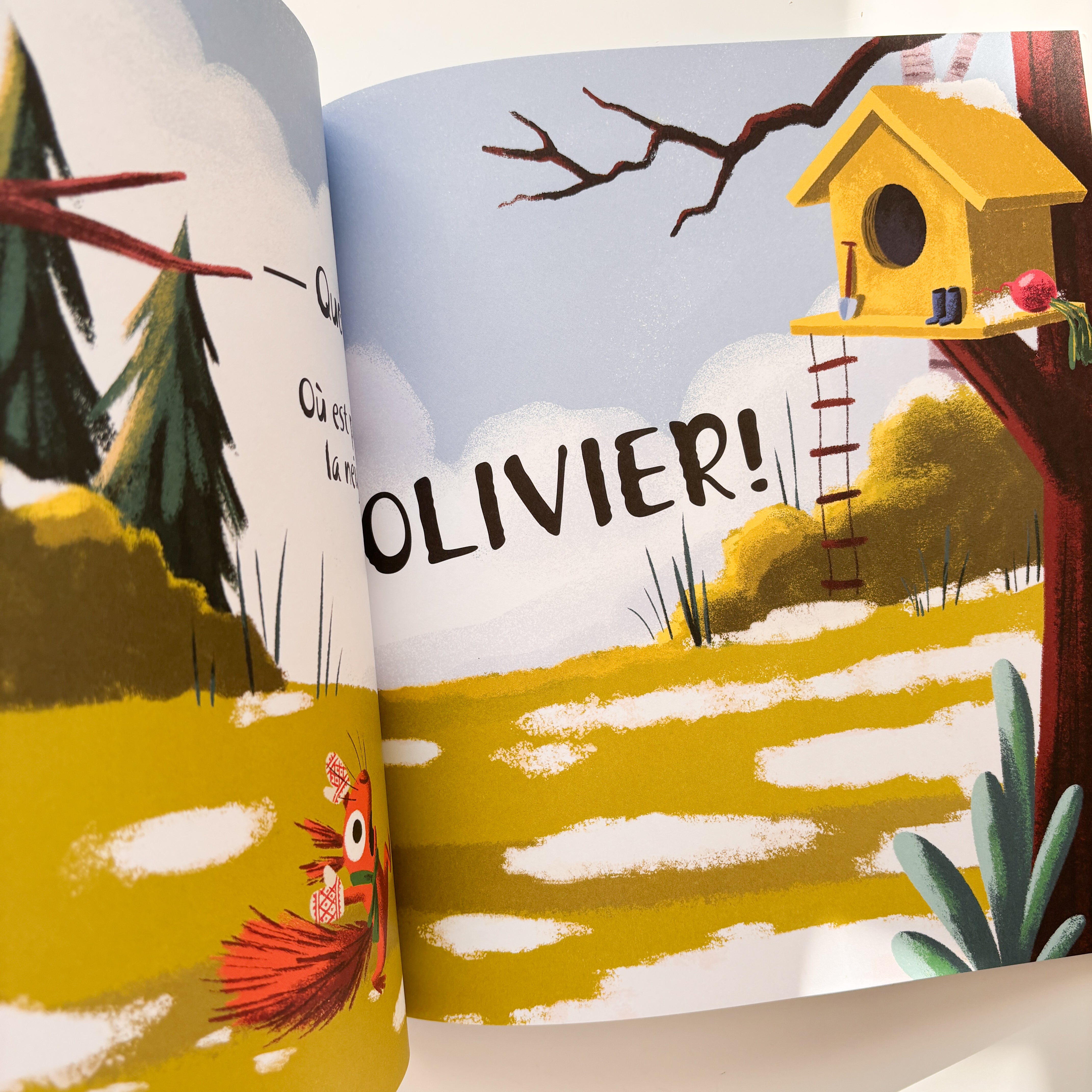 Livre d'histoire - Le voleur de neige