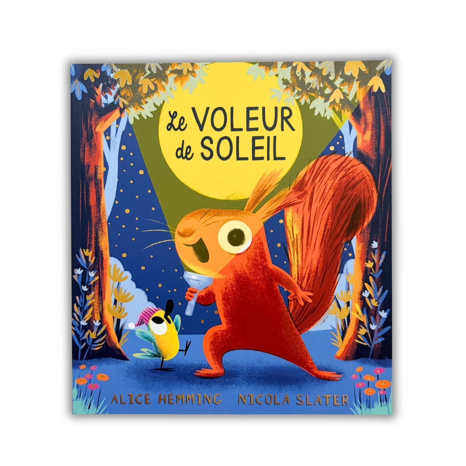 Livre d'histoire - Le voleur de soleil