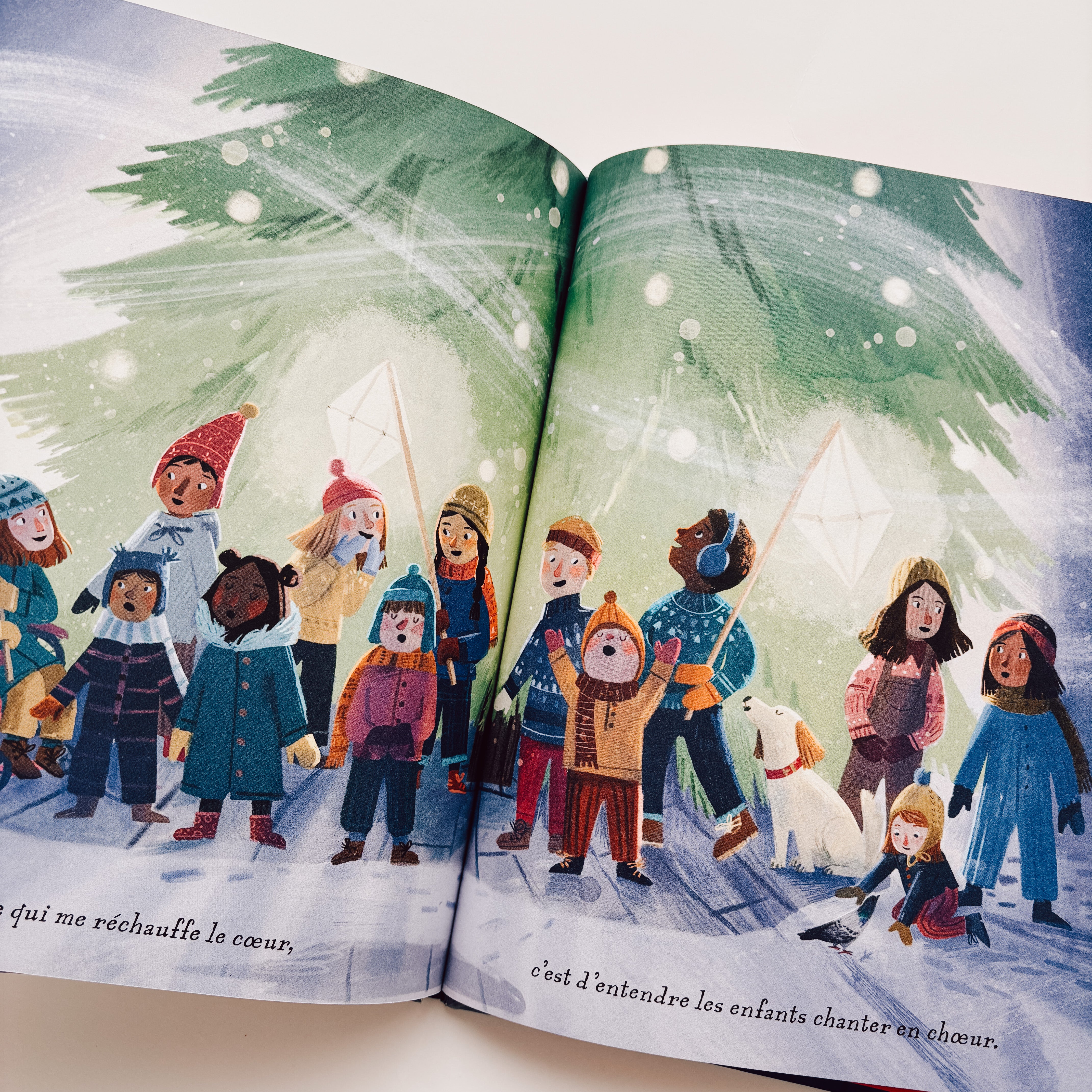 Livre d'histoire - Le Voyage du sapin de Noël