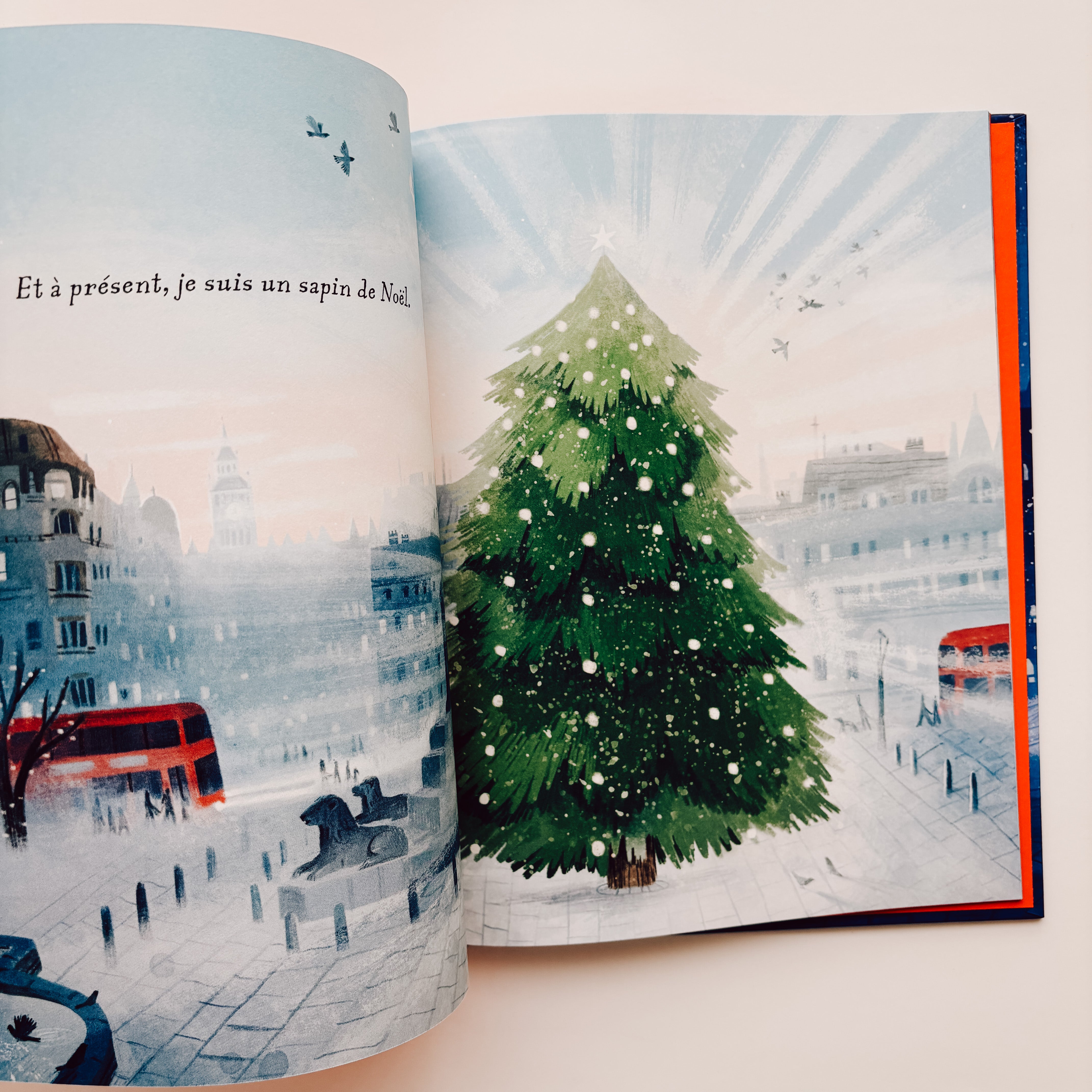 Livre d'histoire - Le Voyage du sapin de Noël