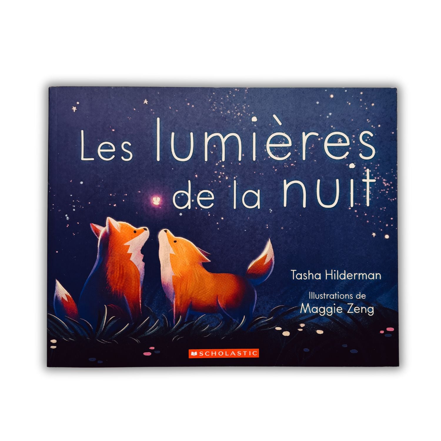Livre d'histoire - Les lumières de la nuit