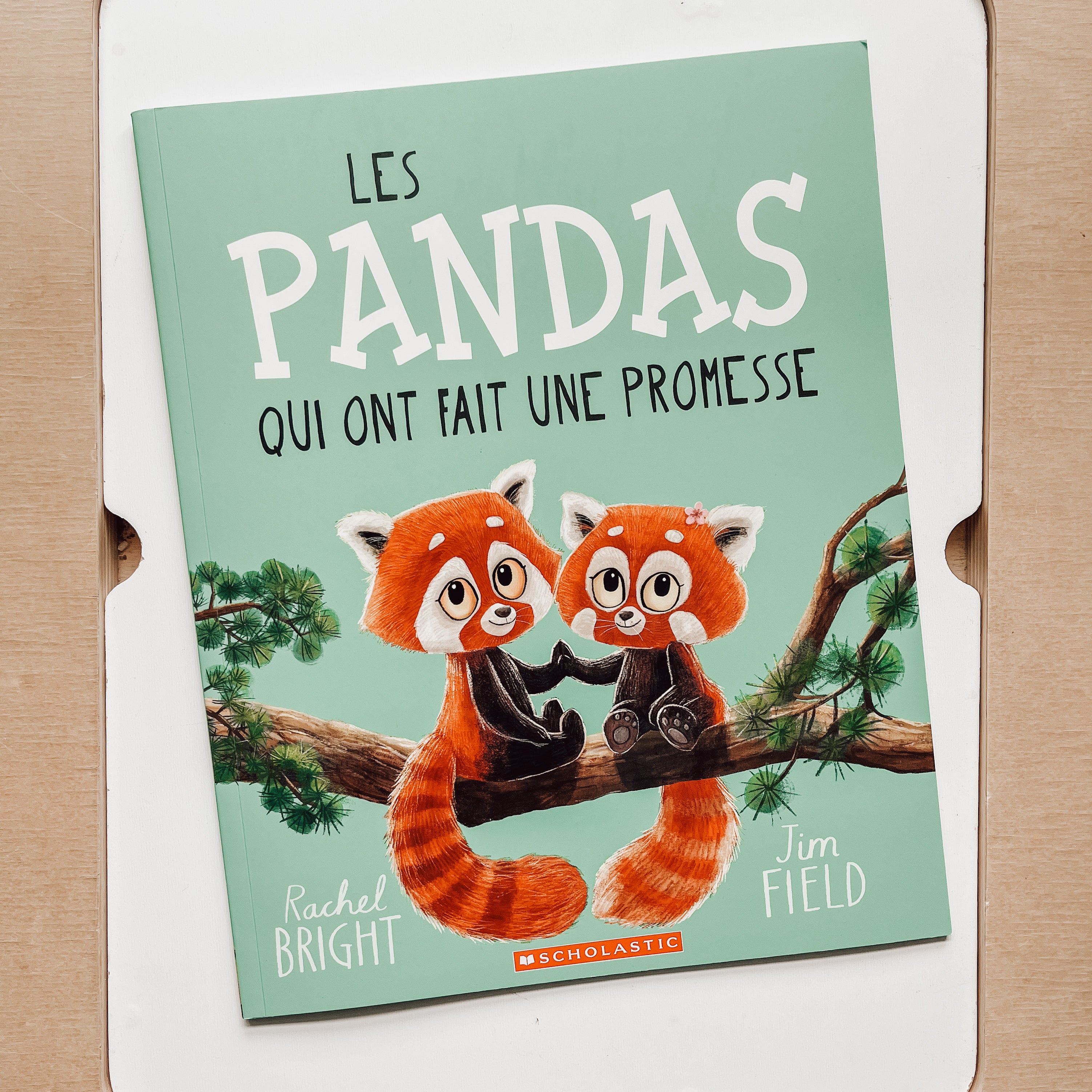 Livre d'histoire - Les pandas qui ont fait une promesse