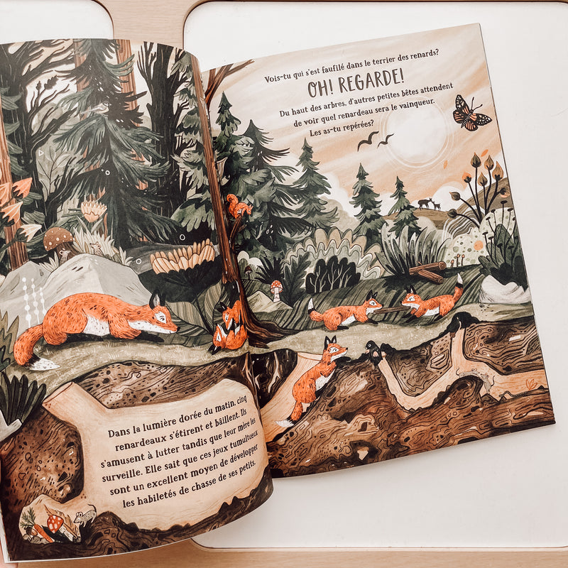 Livre d'histoire - Les secrets de la forêt