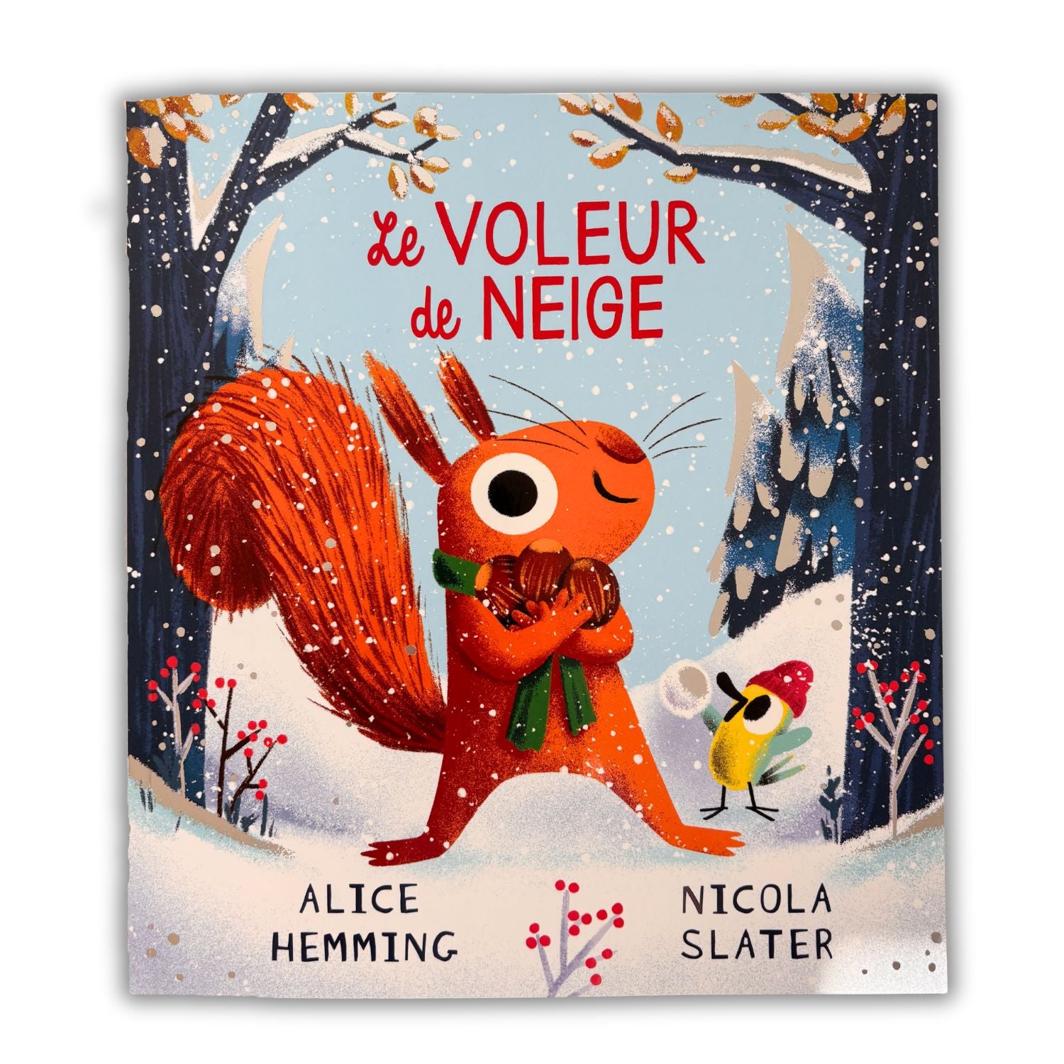 Livre d'histoire - Le voleur de neige