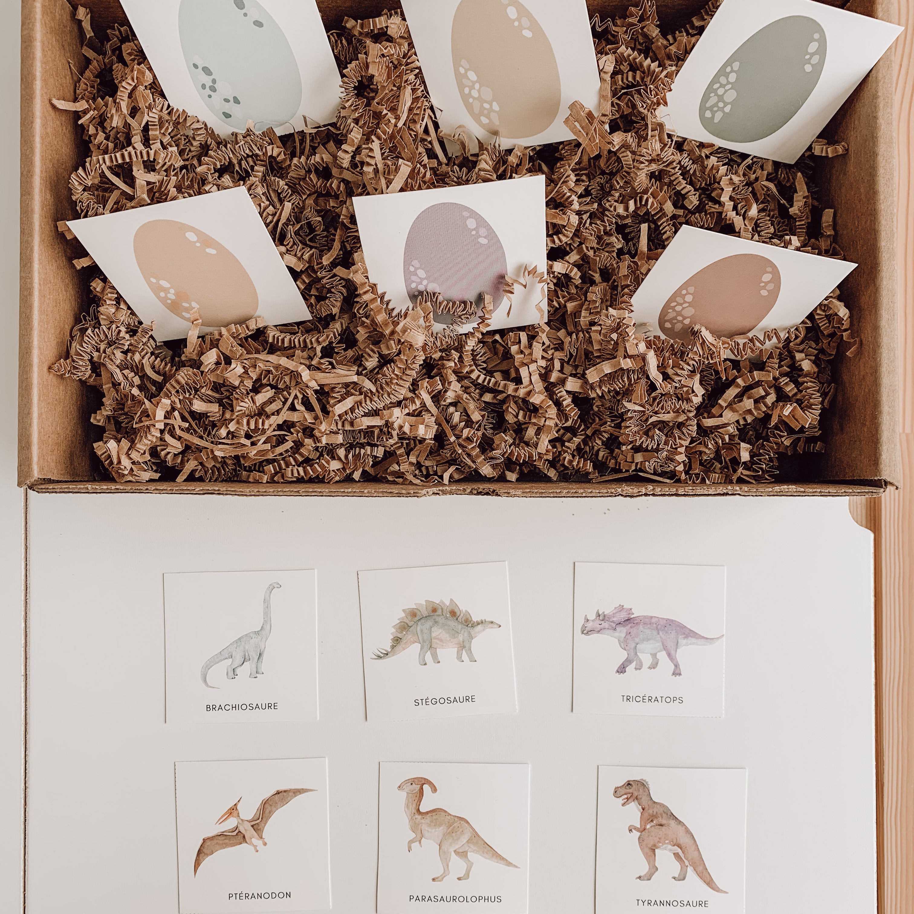 Activity Box - Dinosaurs (2-6 years old)