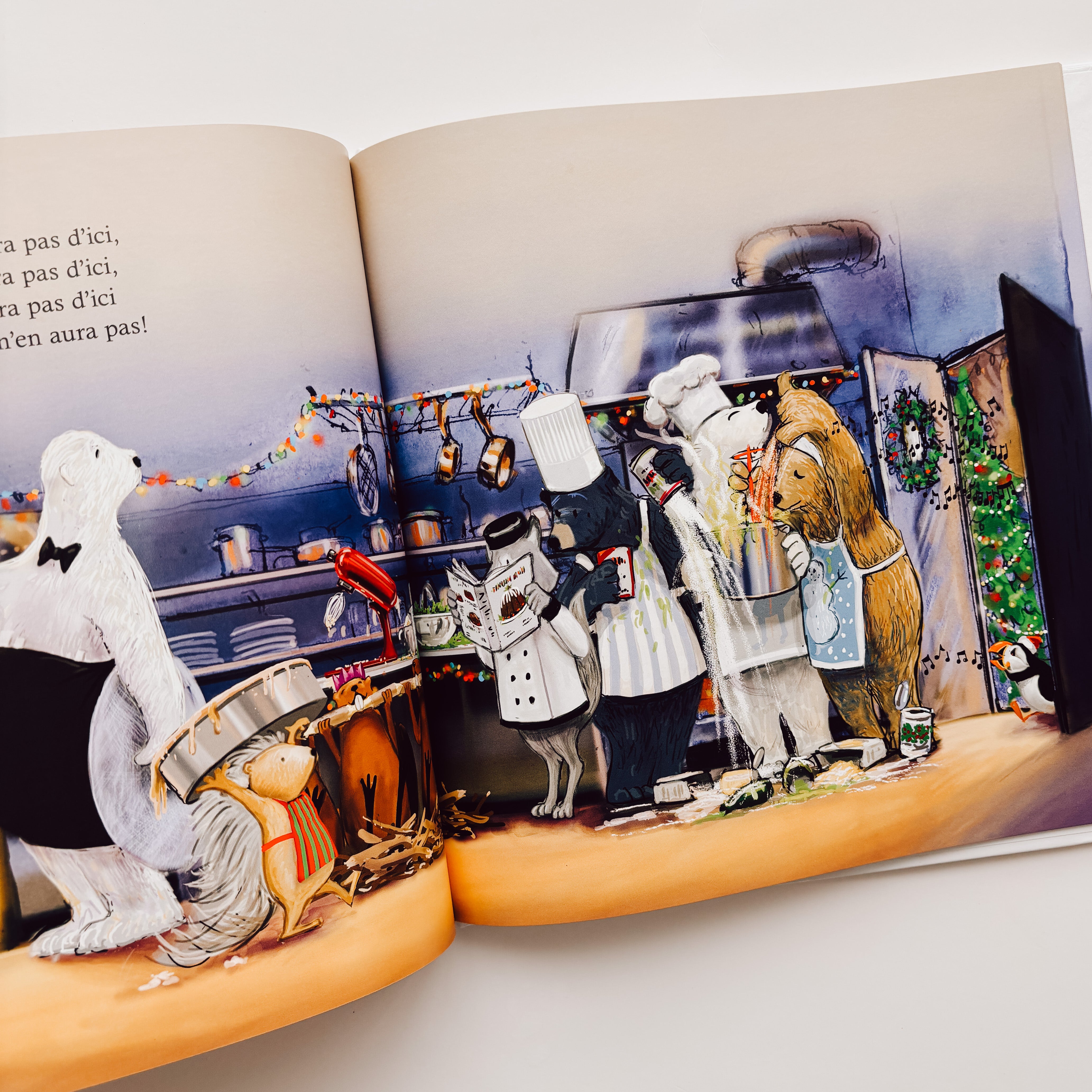 Livre d'histoire - On vous souhaite un joyeux Noël