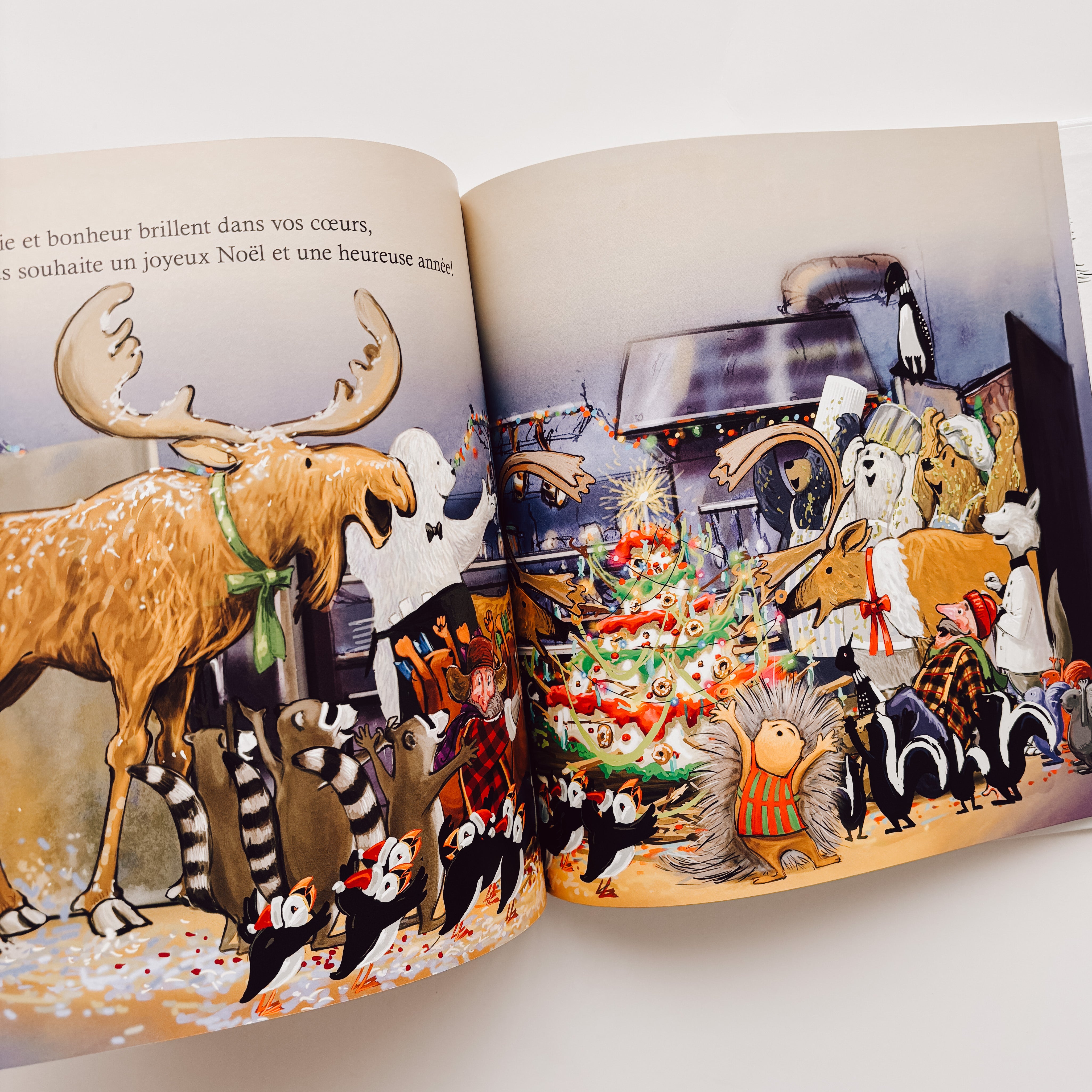 Livre d'histoire - On vous souhaite un joyeux Noël