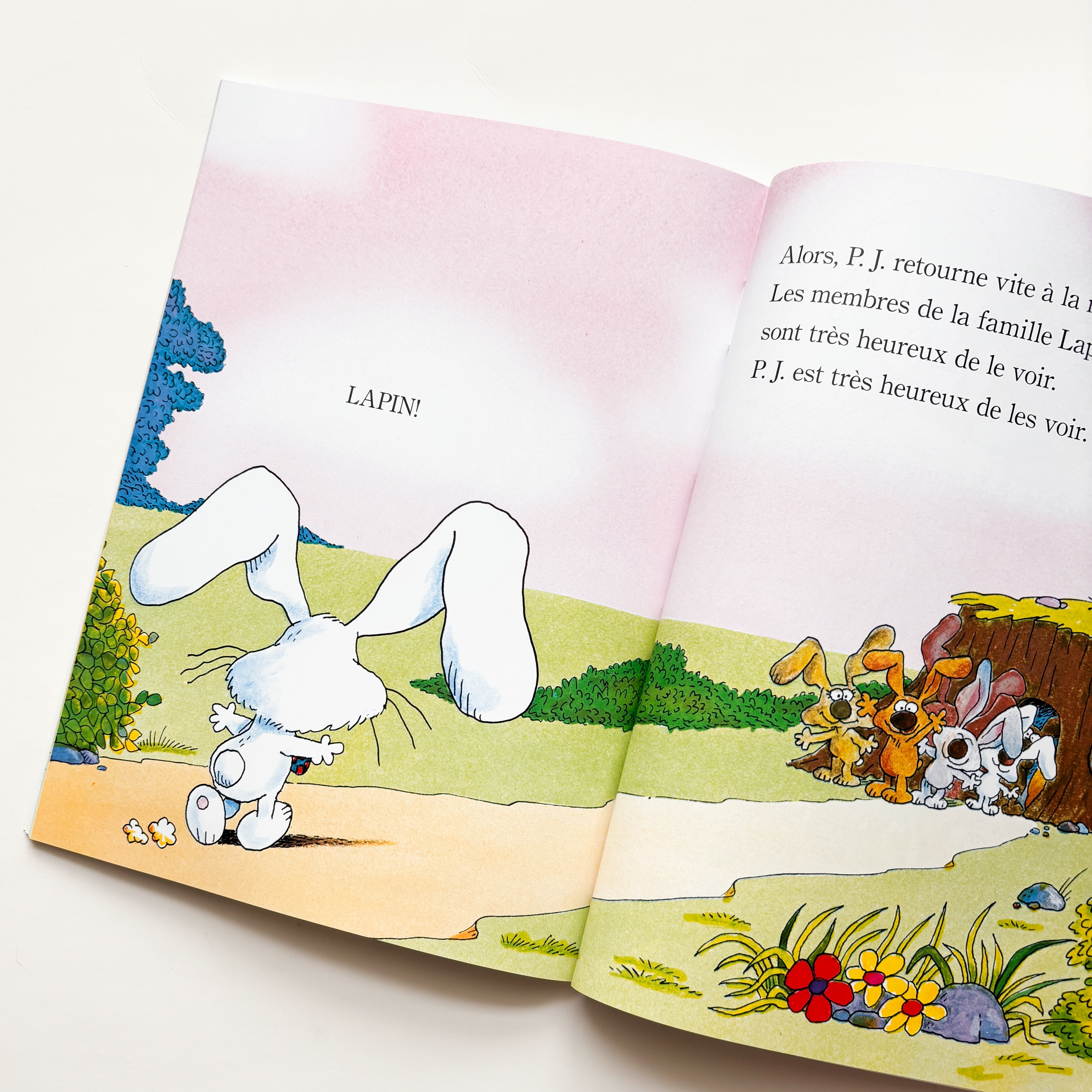 Livre d'histoire - Pas facile d'être un lapin !