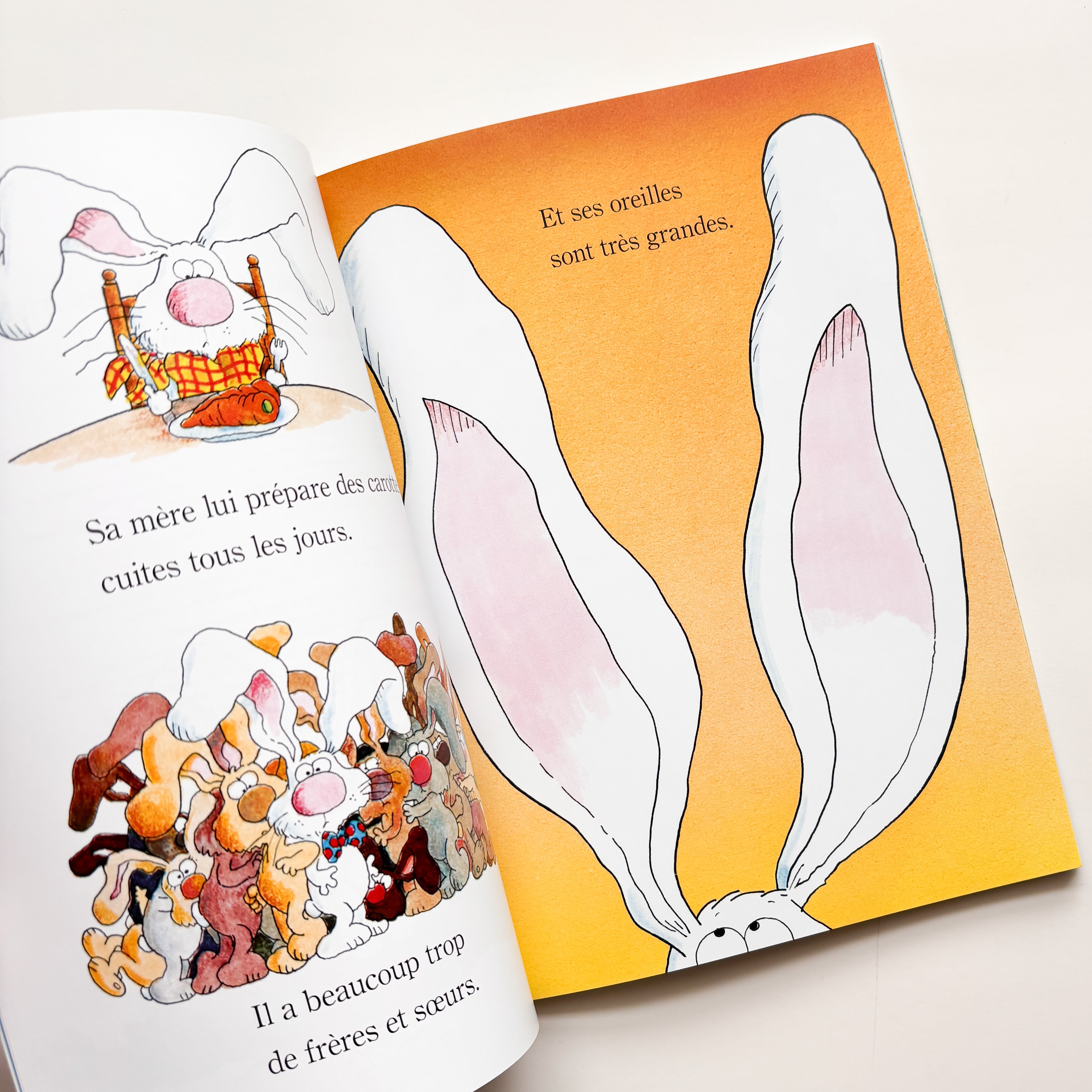 Livre d'histoire - Pas facile d'être un lapin !