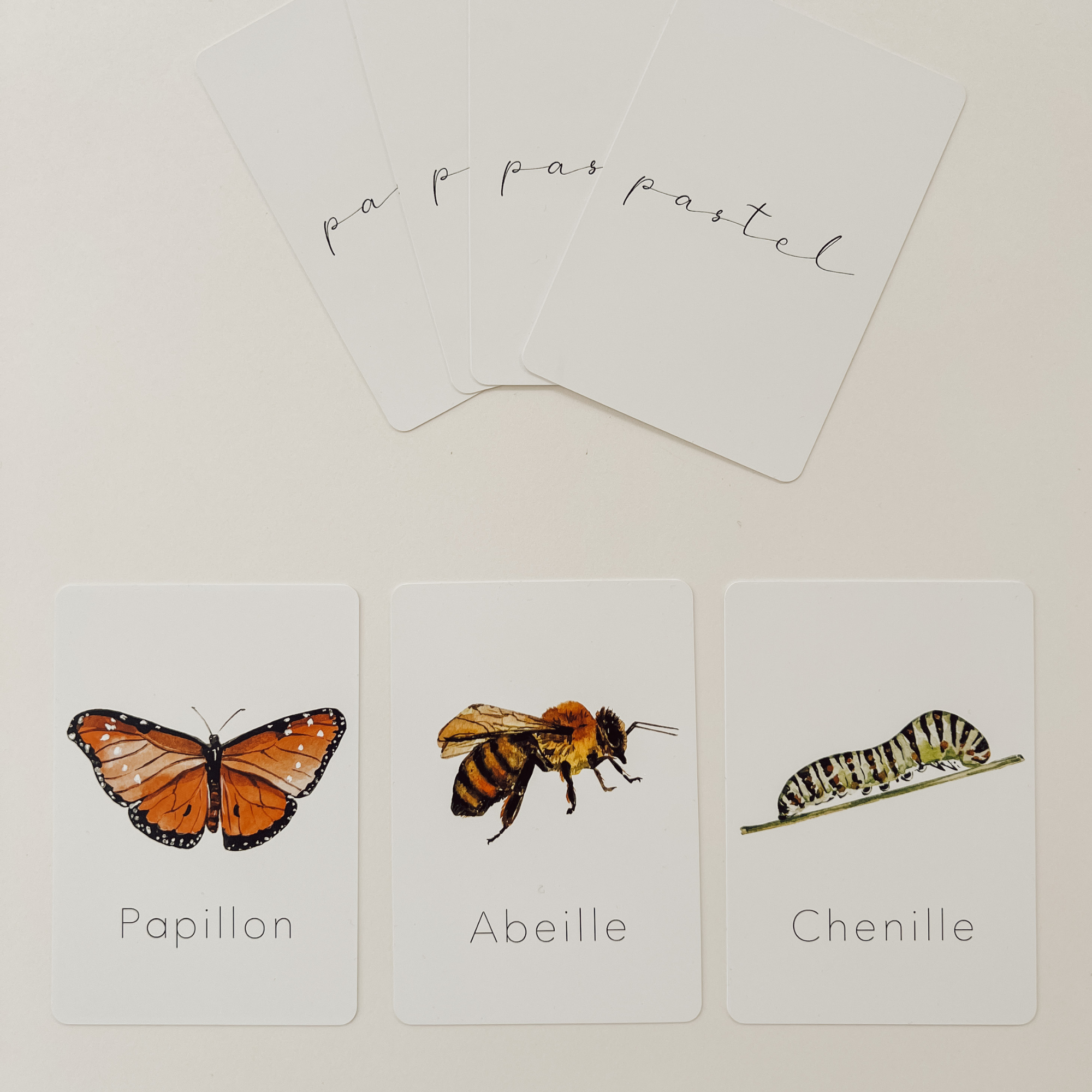 Cartes d'apprentissage résistantes "Insectes"