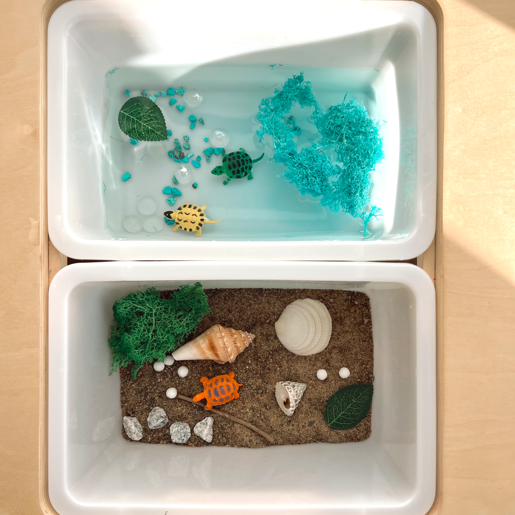 Sensory Set - Turtles