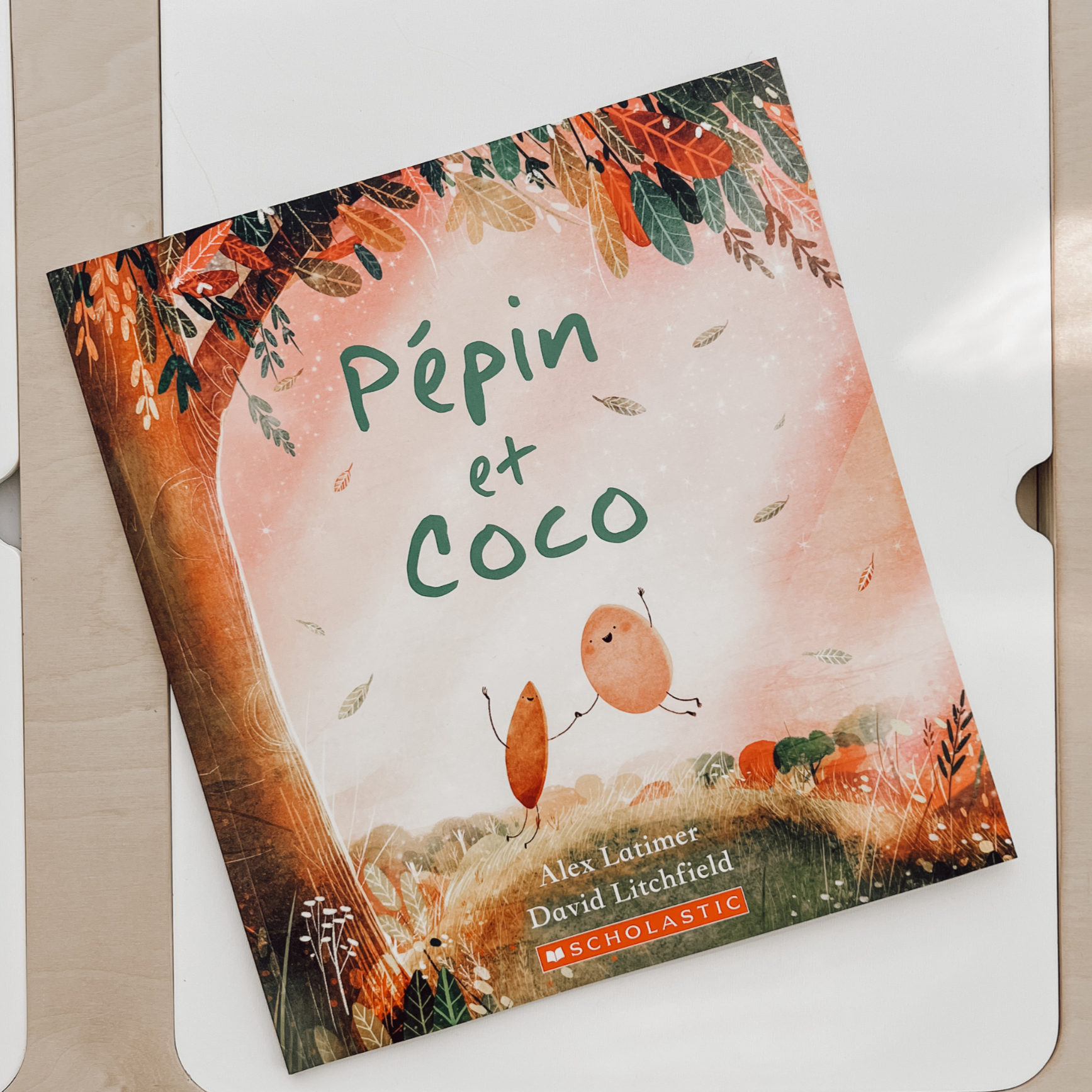 Livre d'histoire - Pépin et Coco