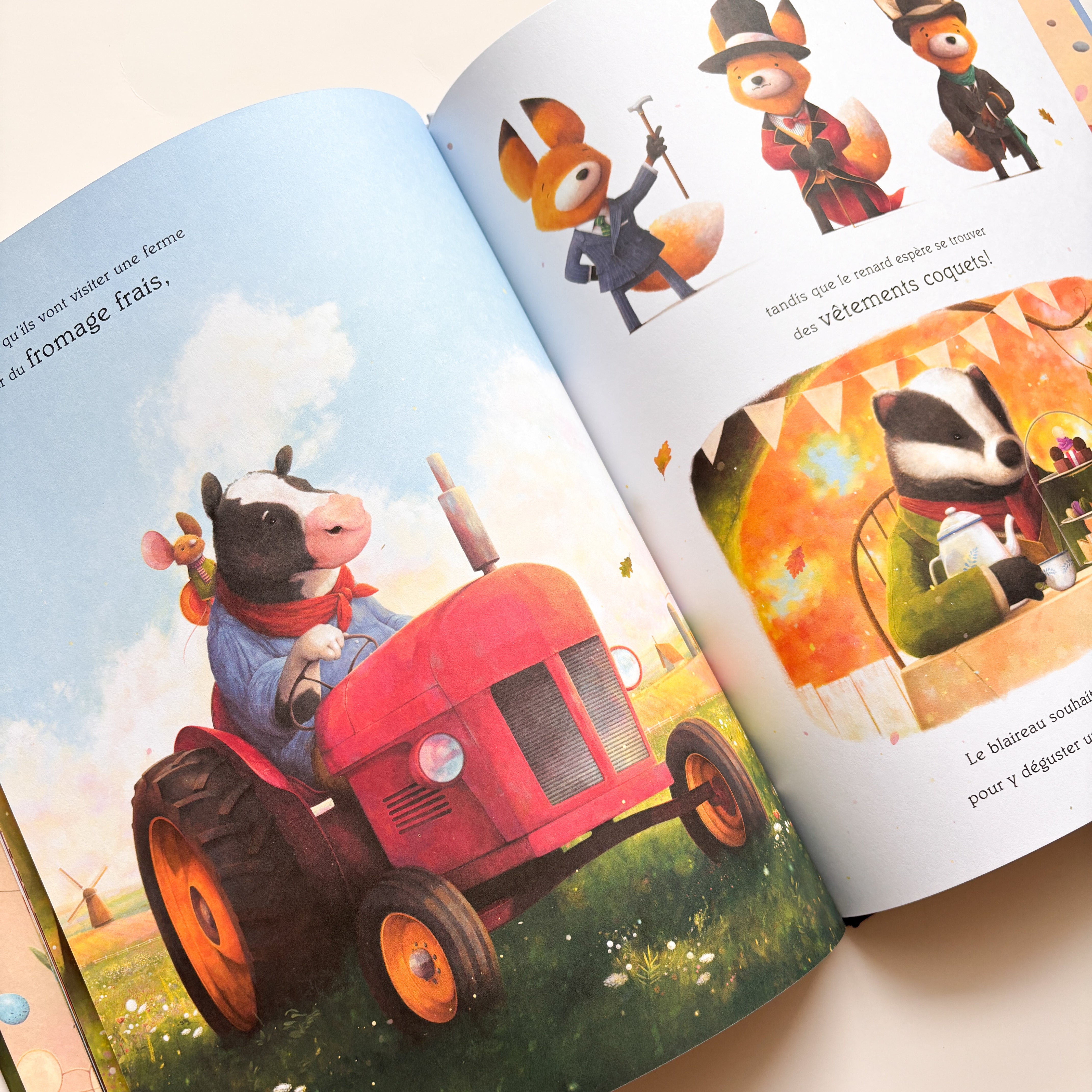 Livre d'histoire - Suis-moi