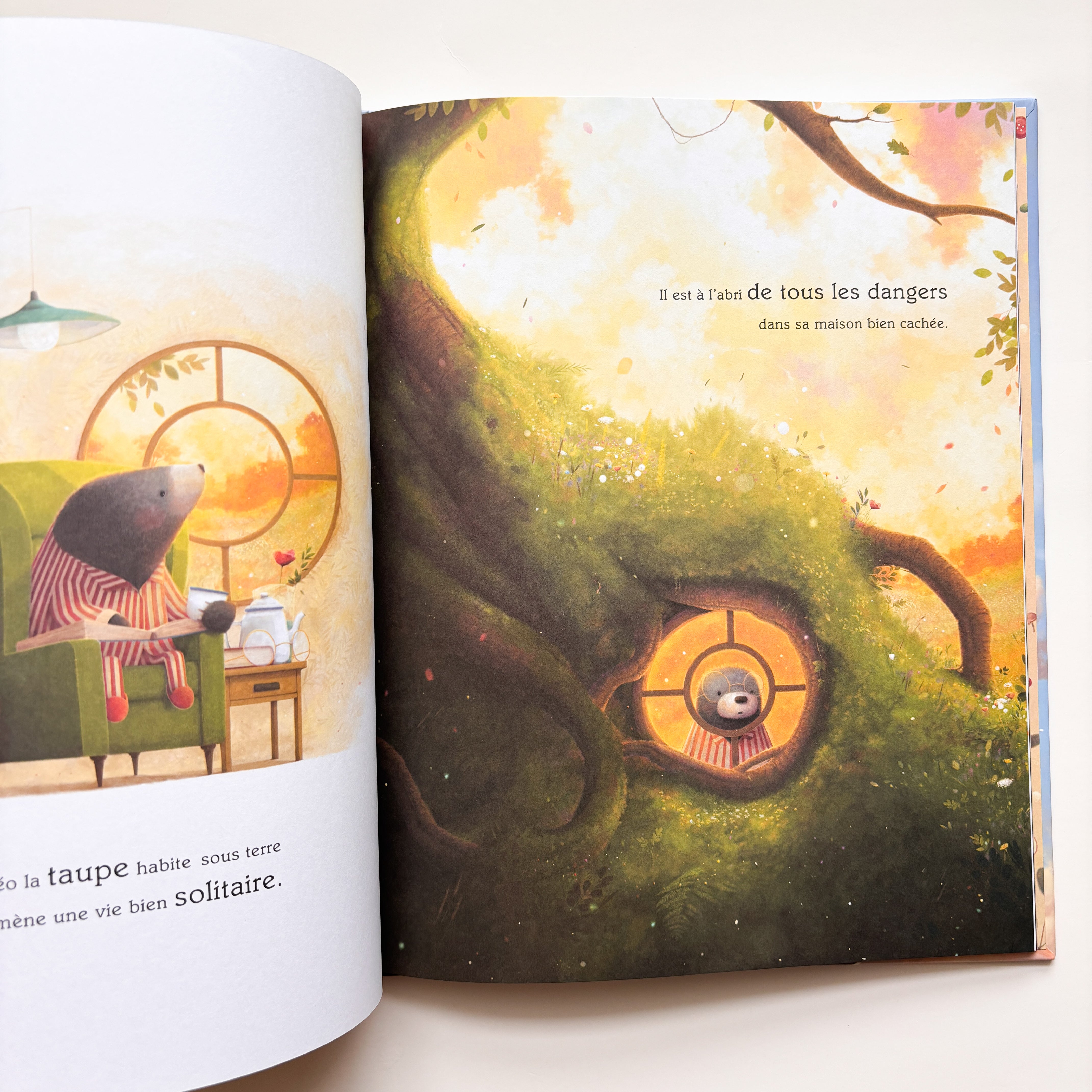 Livre d'histoire - Suis-moi