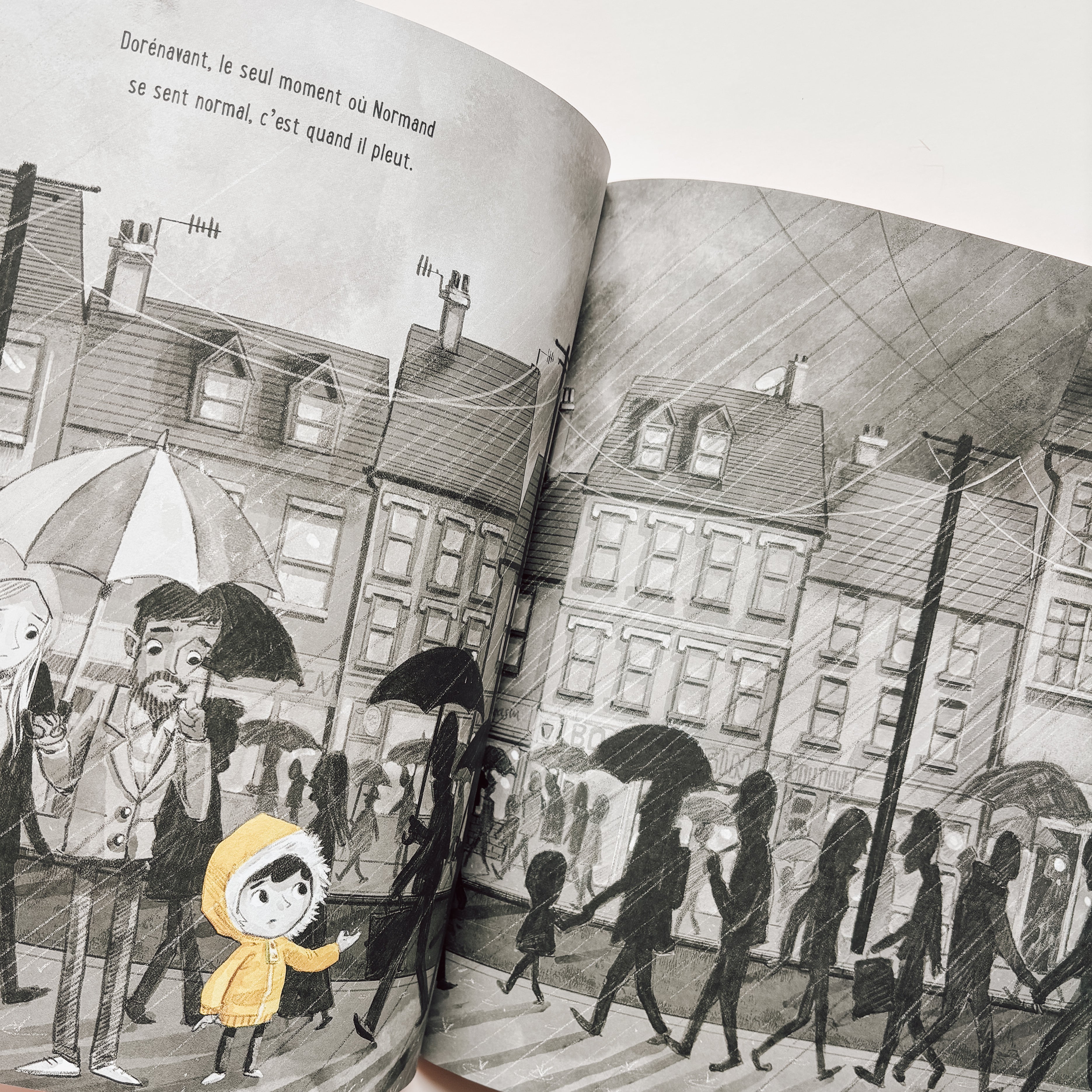 Livre d'histoire - Tout à fait Normand