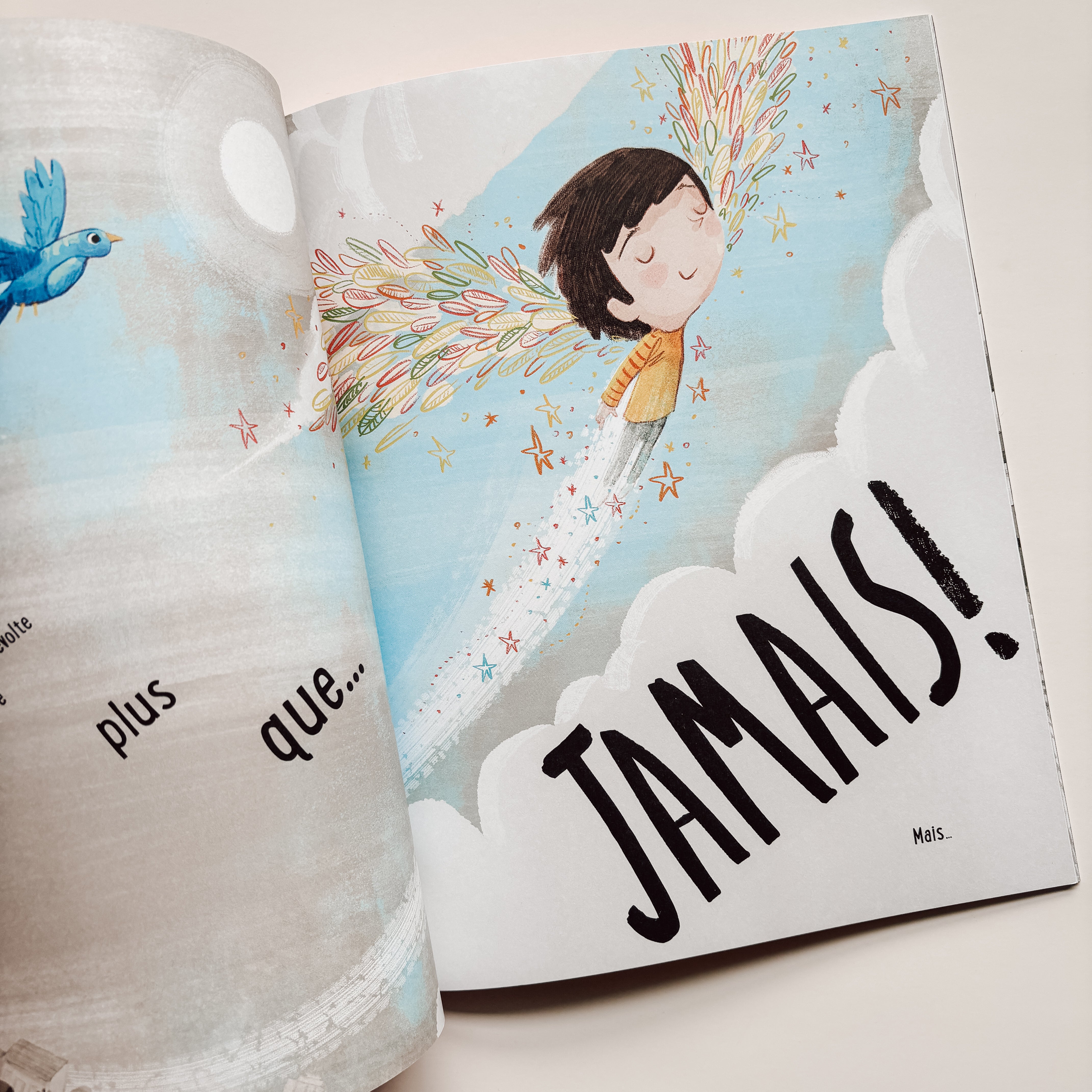 Livre d'histoire - Tout à fait Normand