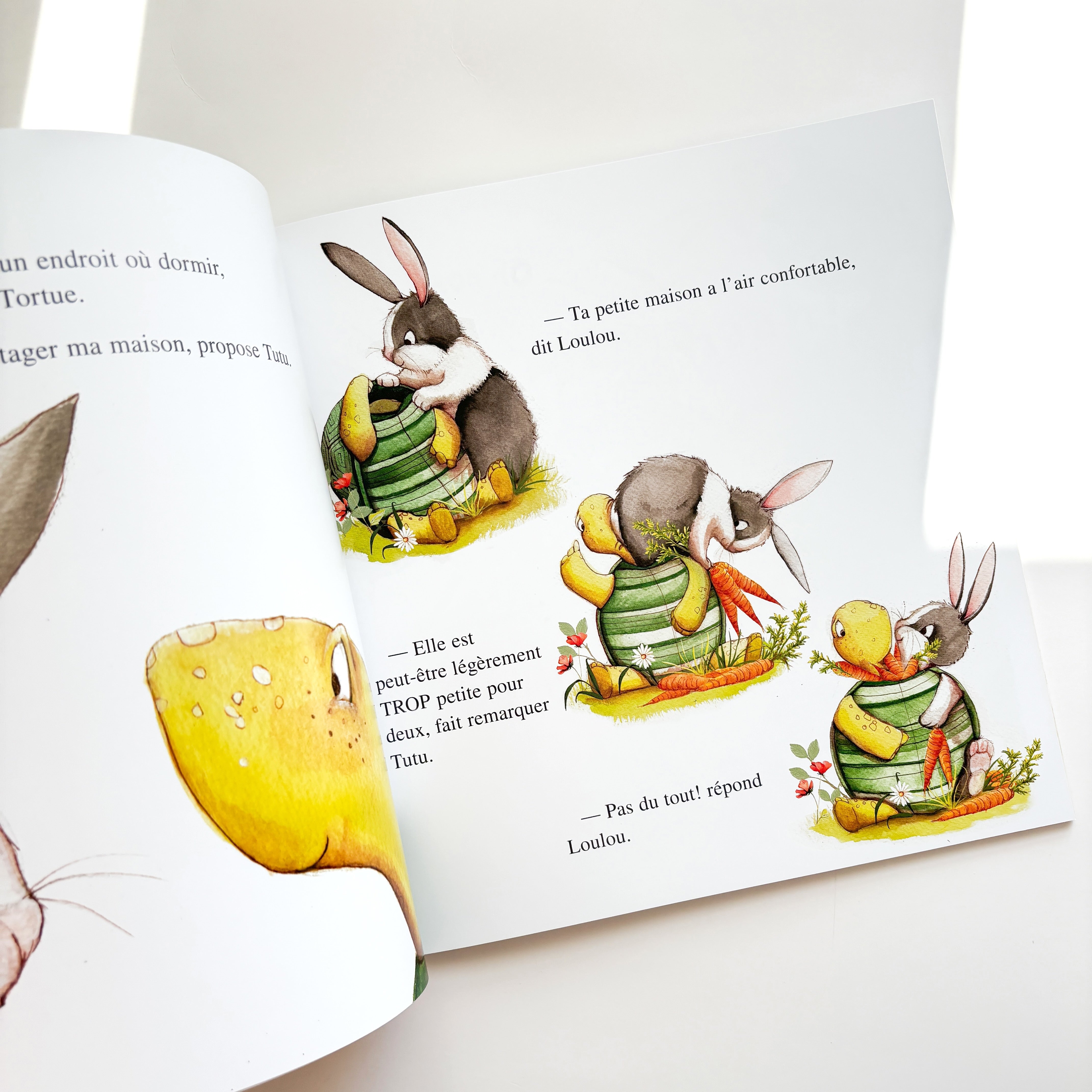 Livre d'histoire - Trop de carottes