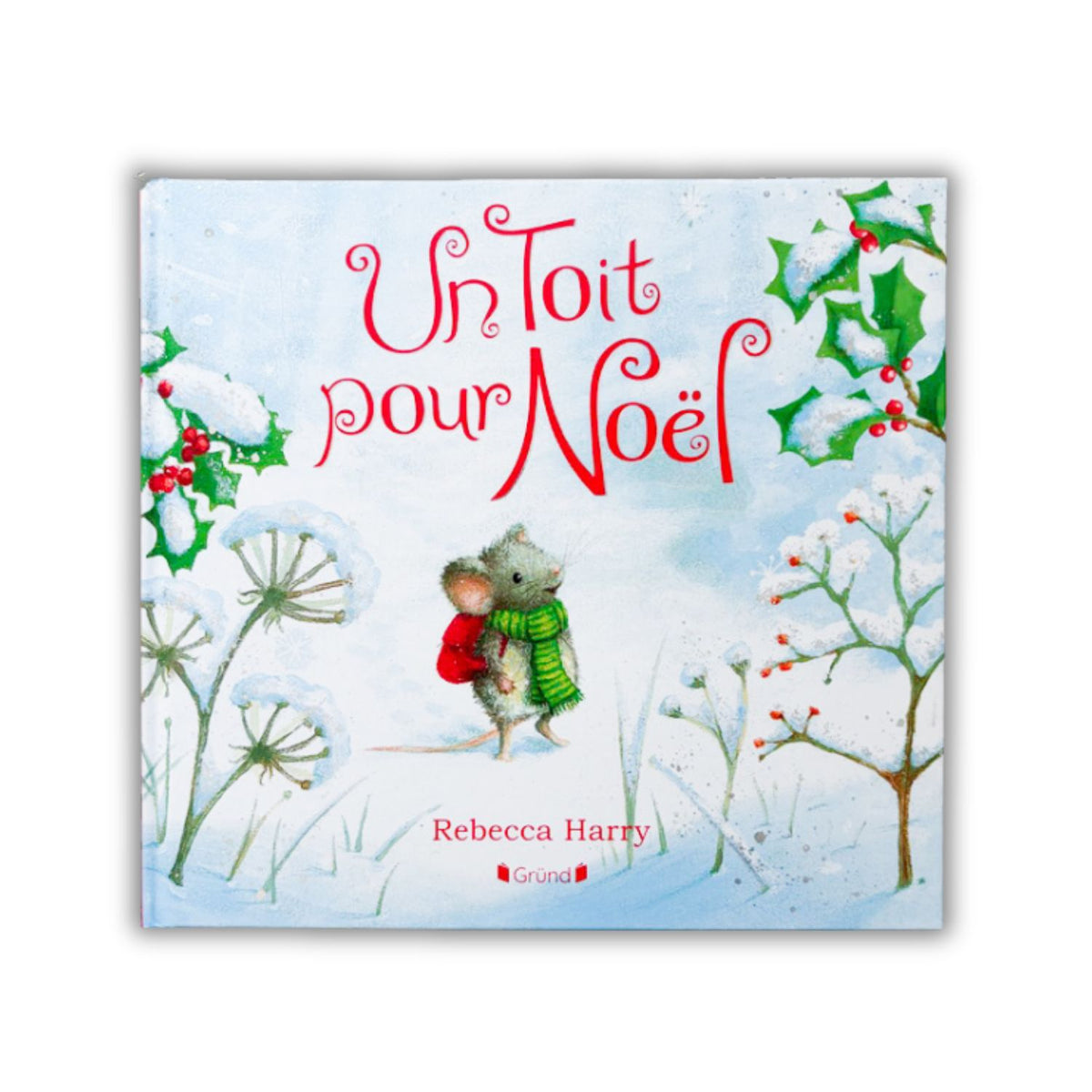Livre d'histoire - Un toit pour Noël