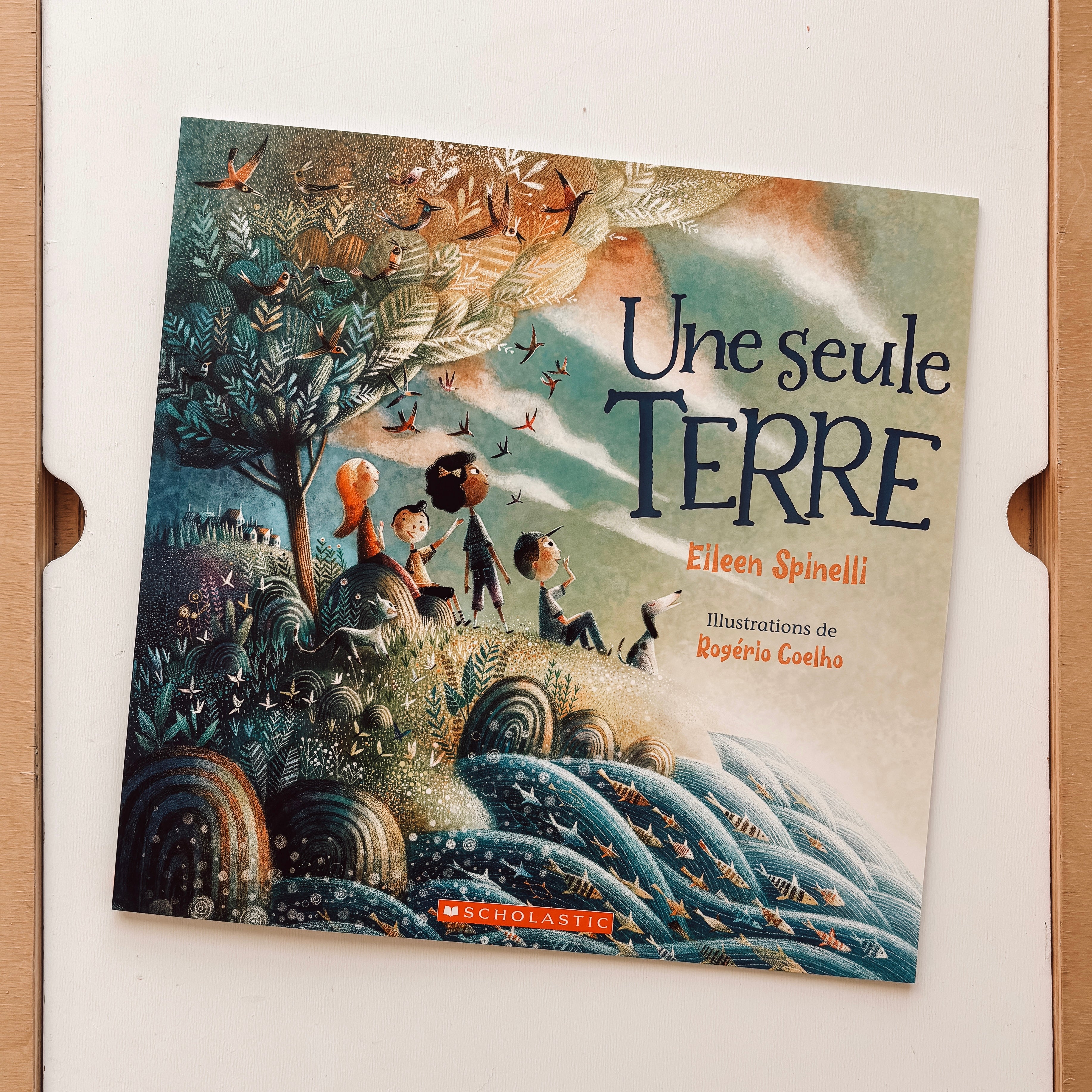 Livre d'histoire - Une seule terre